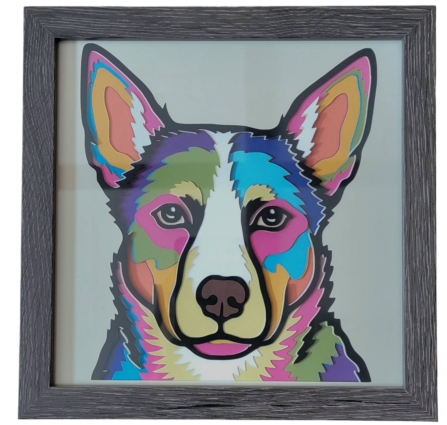 AUSTRALIAN KELPIE GREY FRAME.png