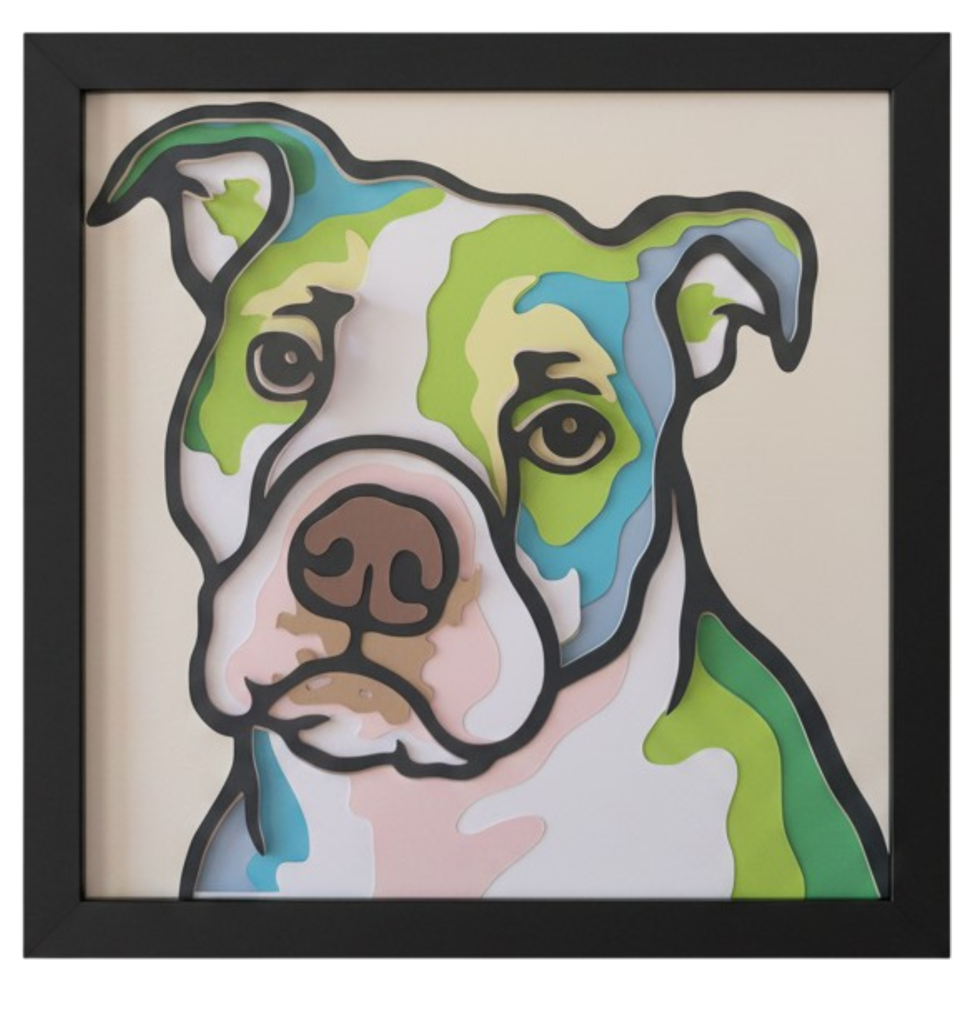 Pitbull Black Frame.png