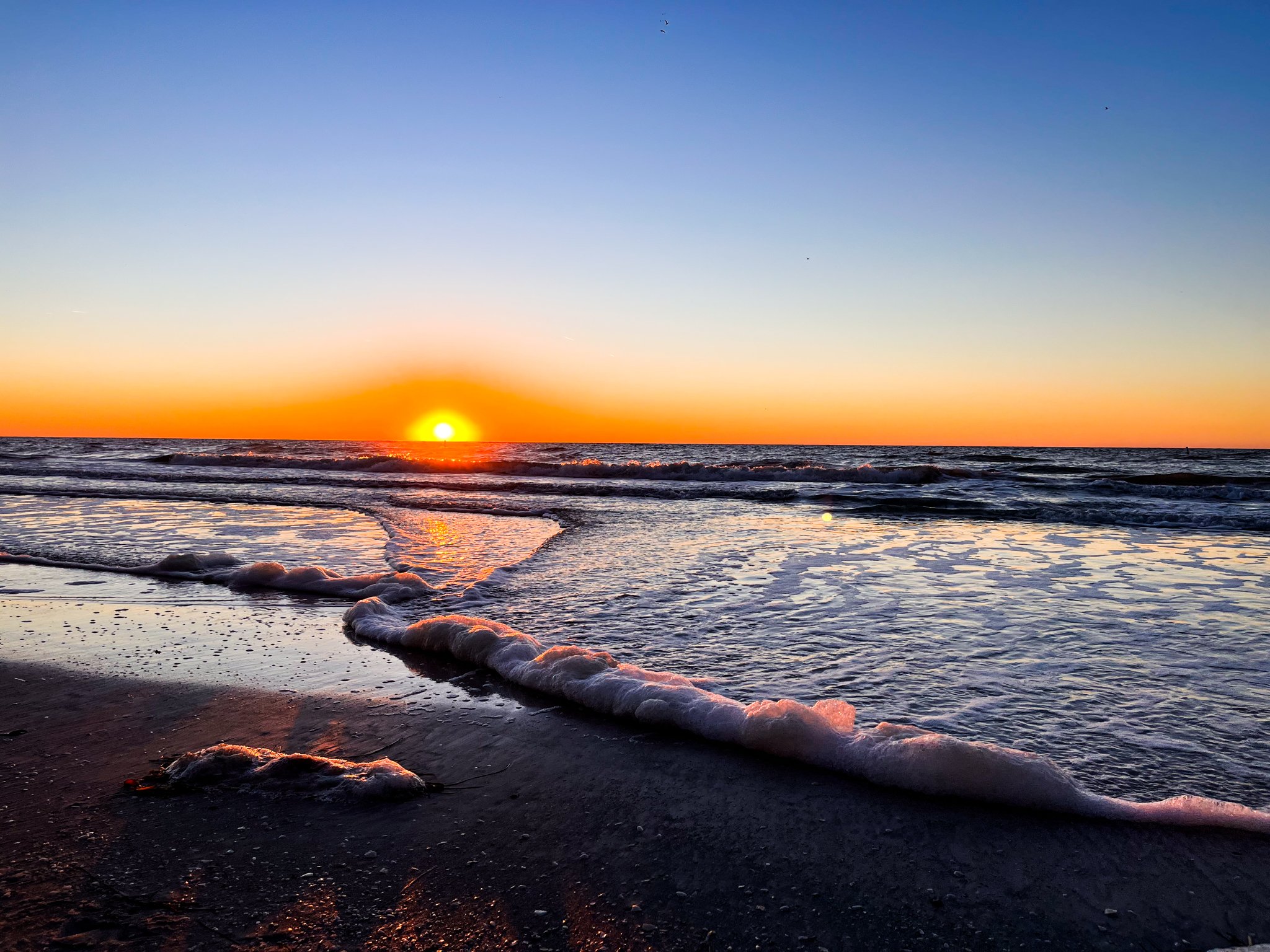Tampa Bay