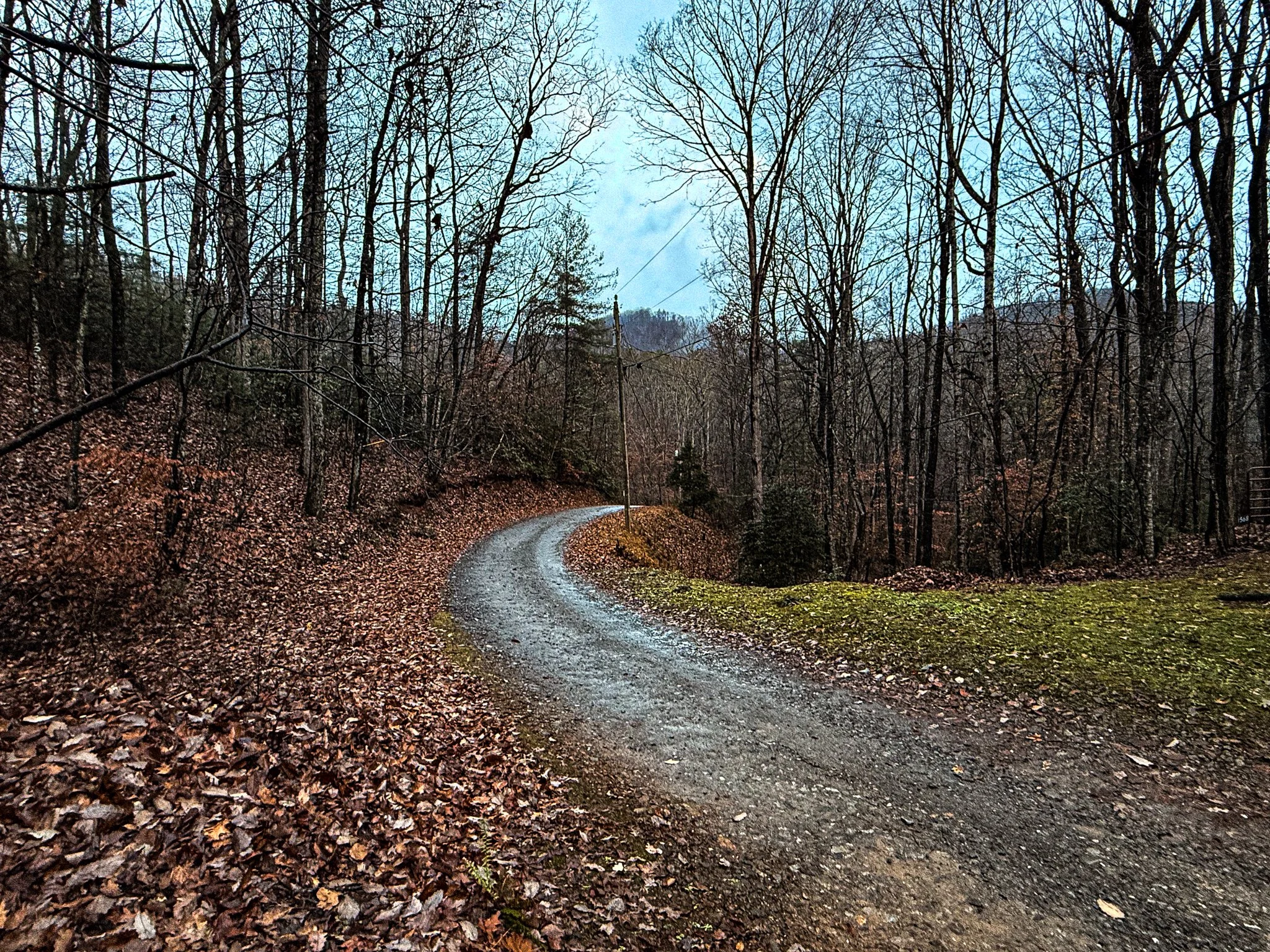 IMG_3321.jpg