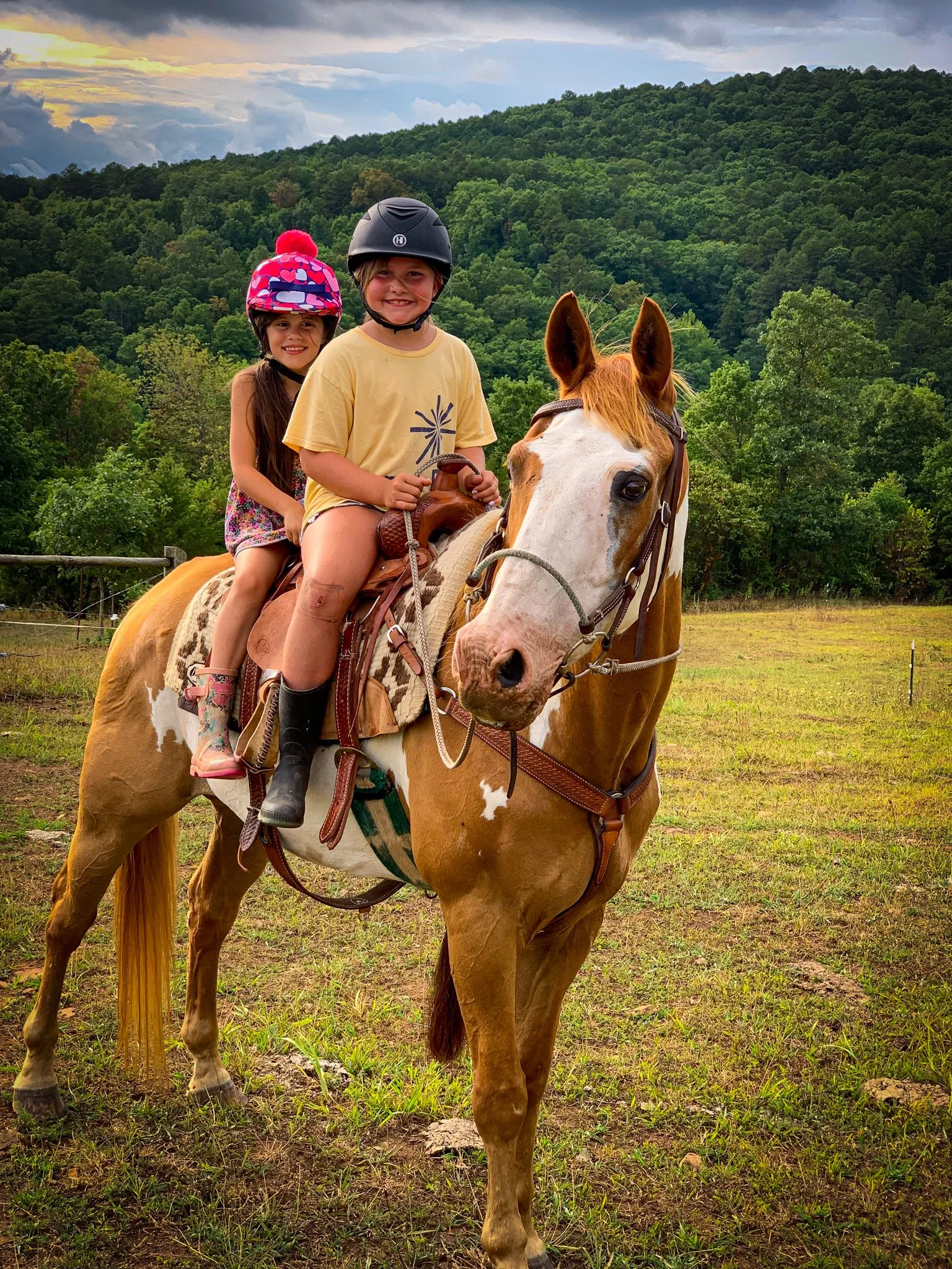 Morgans pic w_ edits-02.jpg