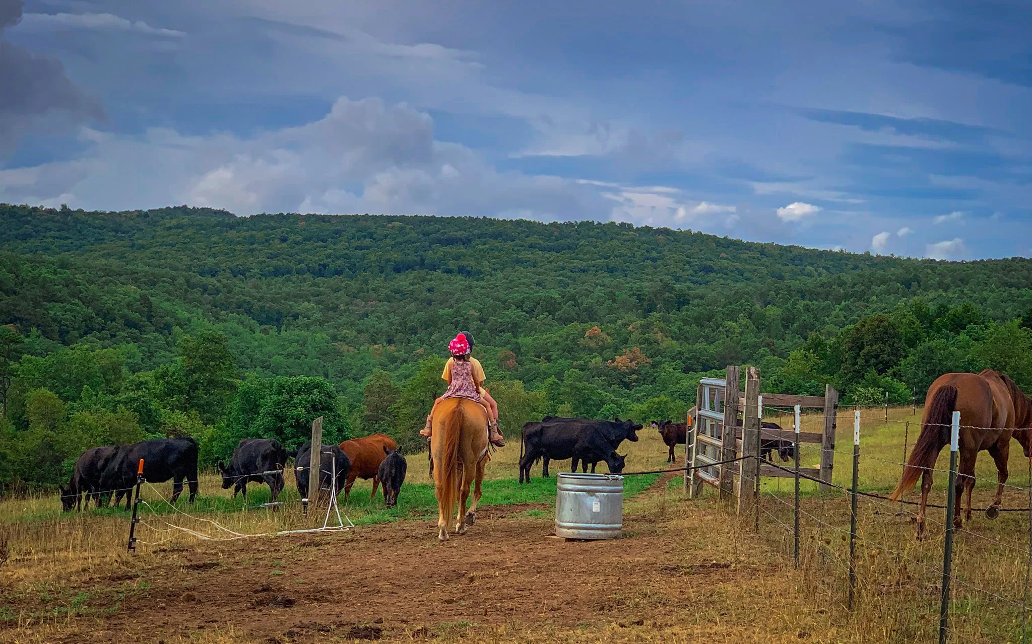 Morgans pic w_ edits-01.jpg