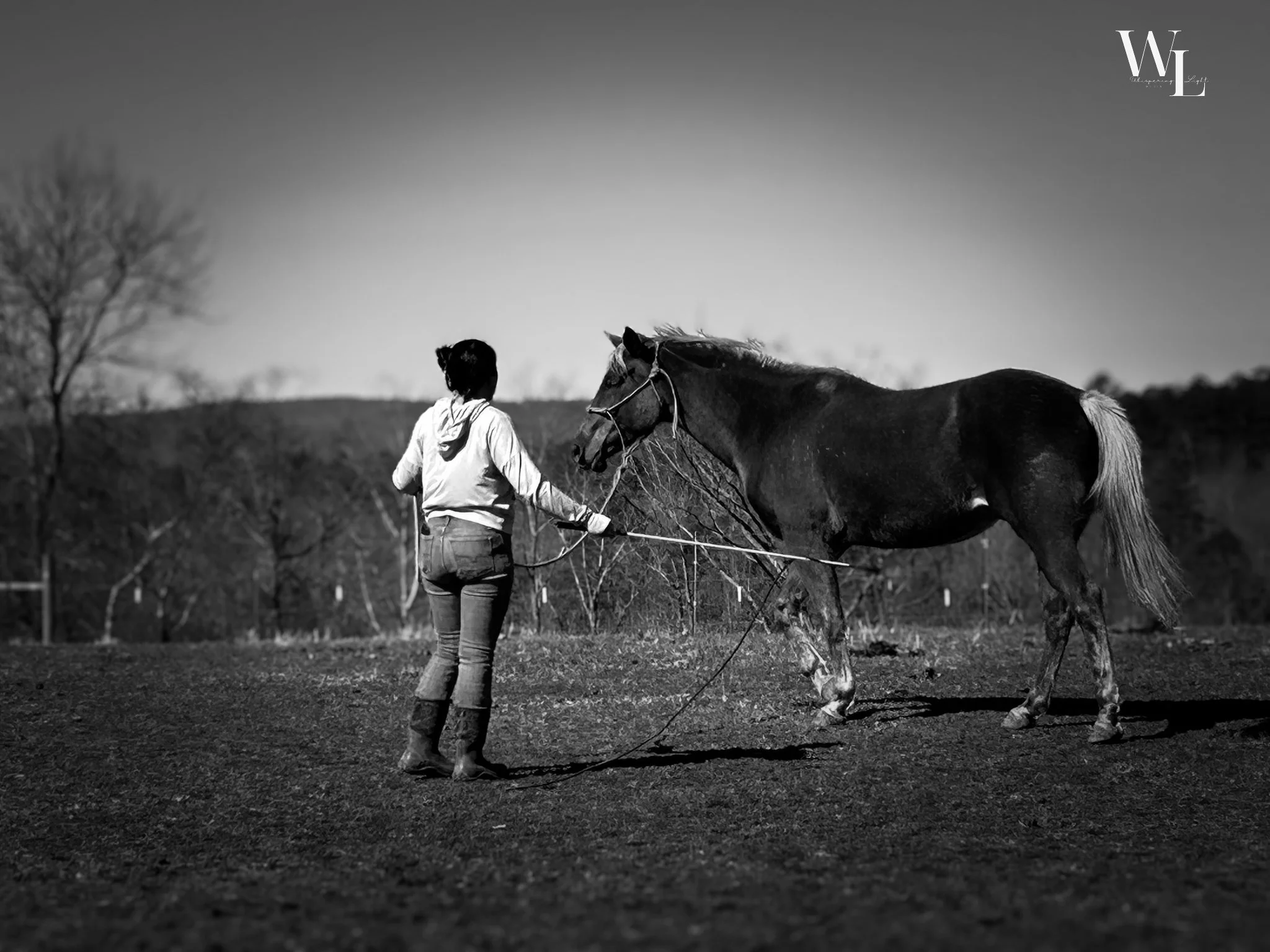 b&w horse groundwork.jpg
