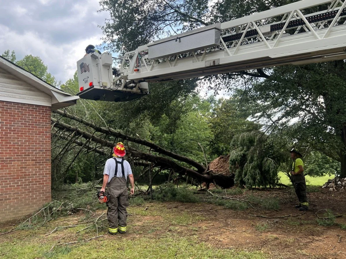 Tree on House