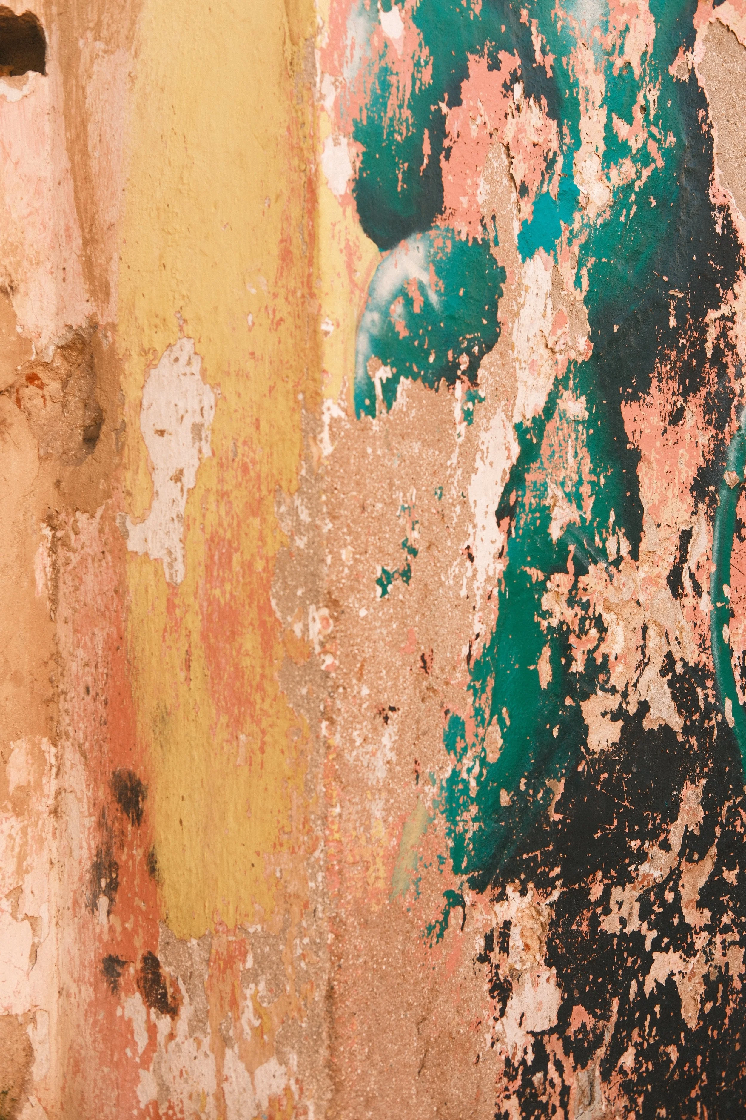 Light in Havana, 2025