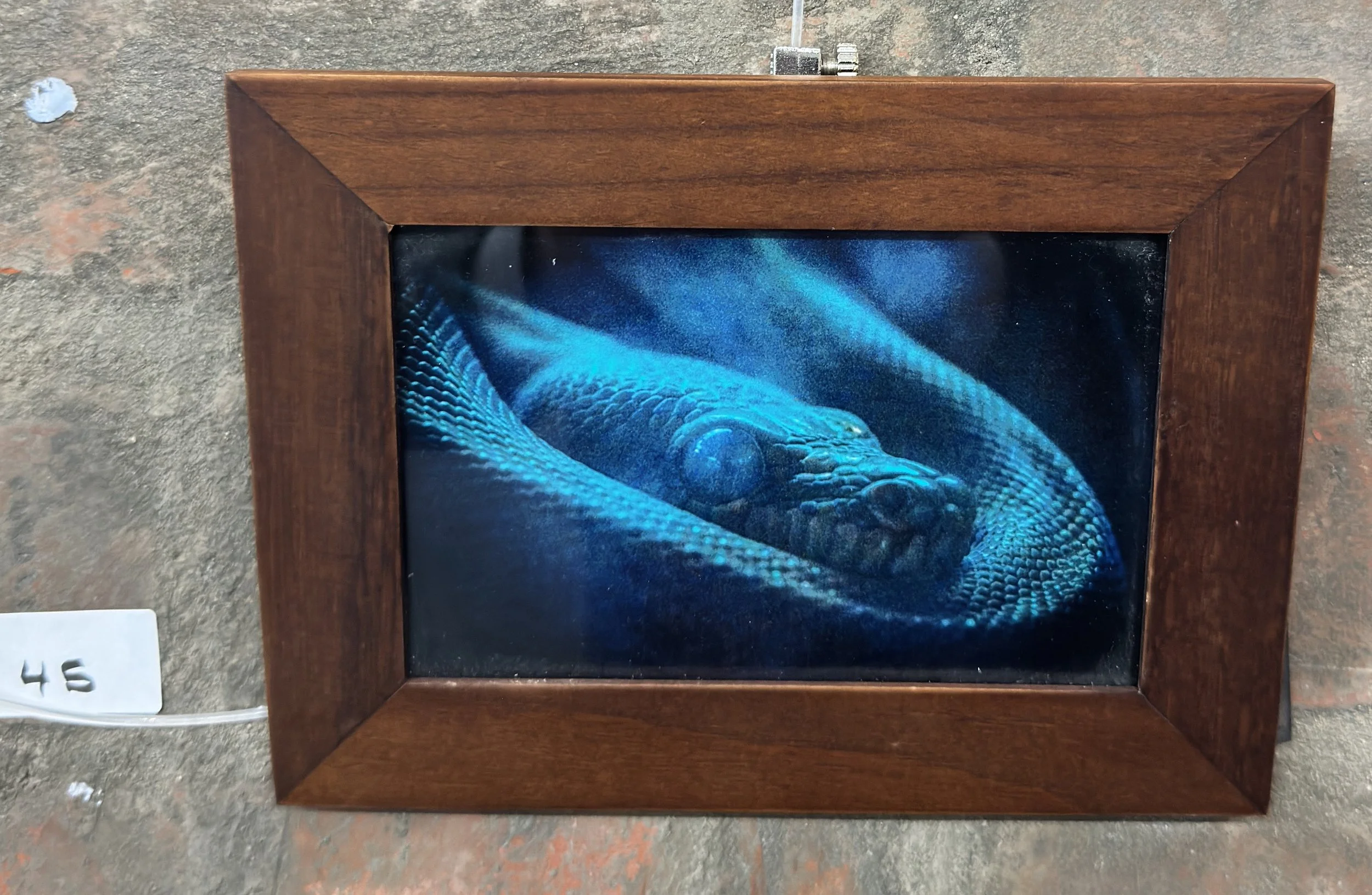 Snake