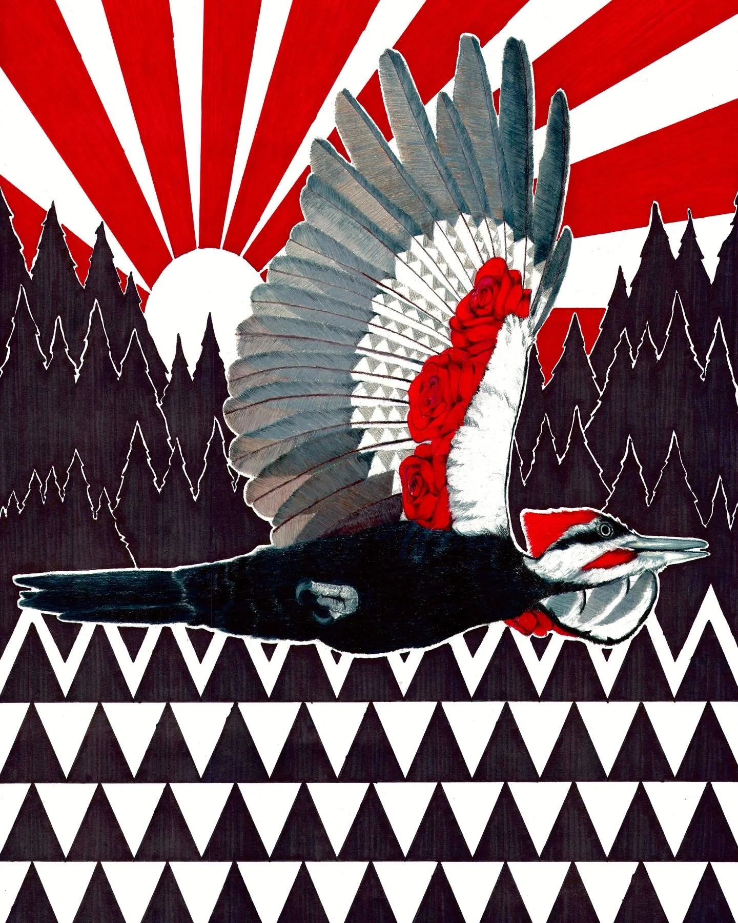 PILEATED WOODPECKER 2.O