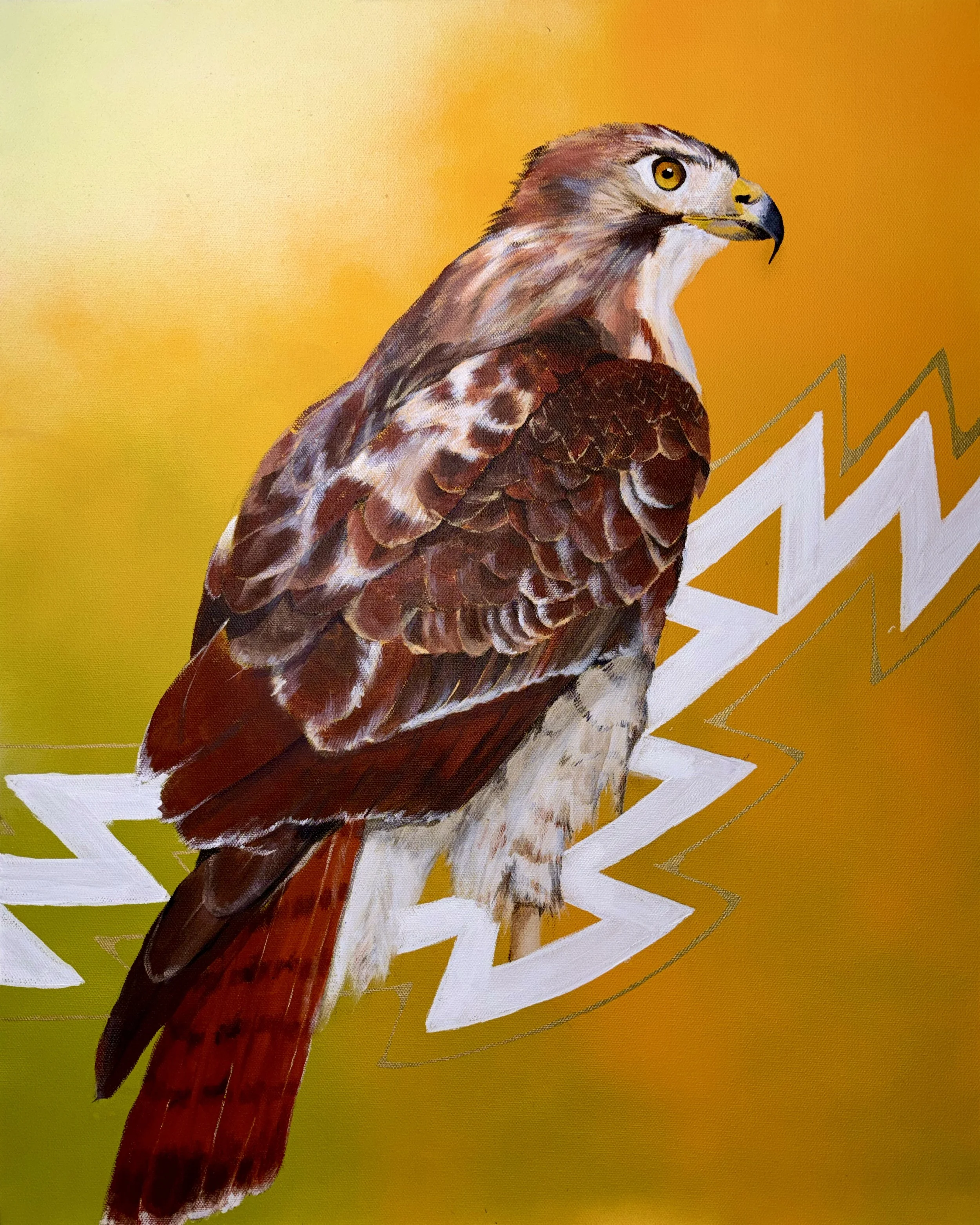 RED TAIL HAWK