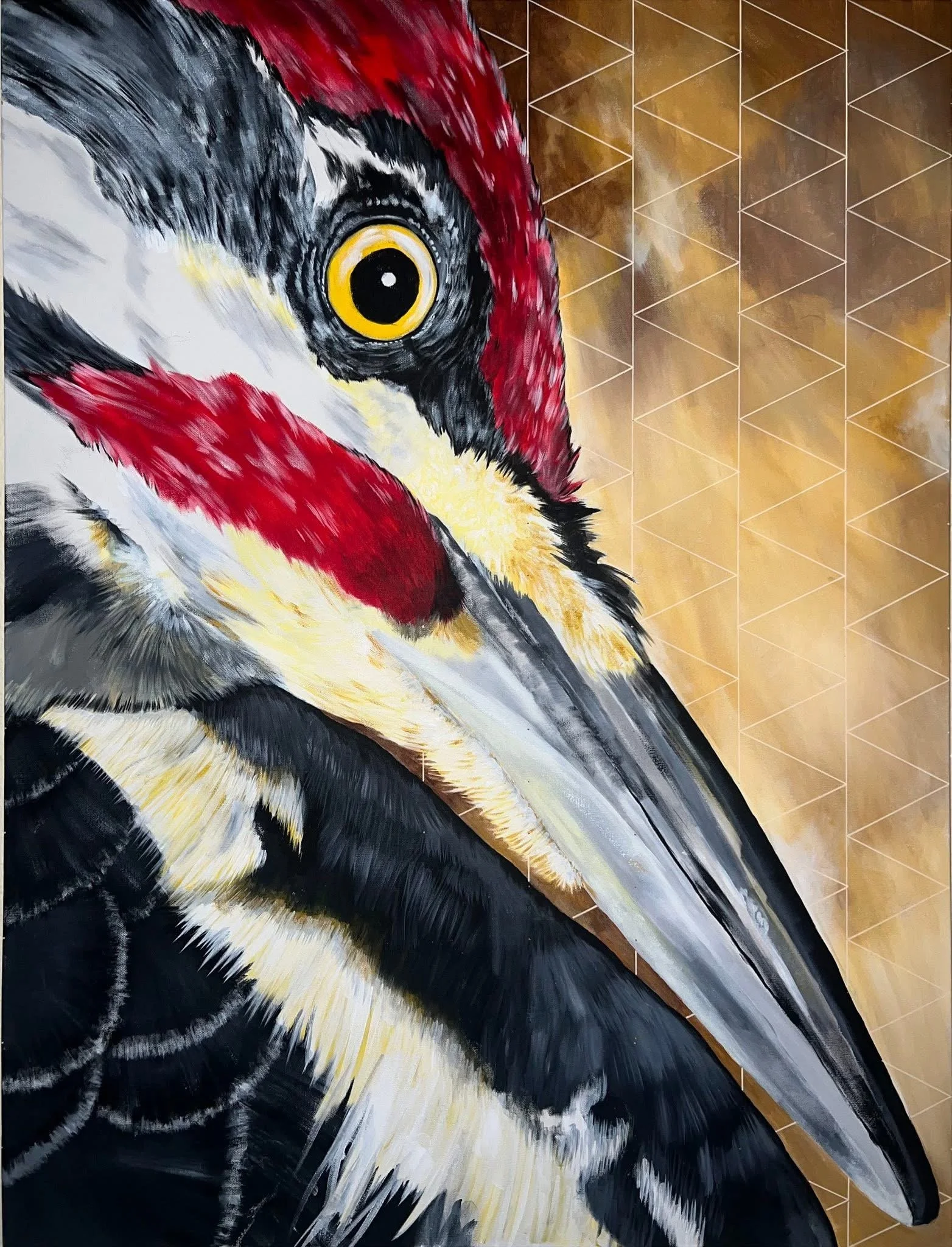 PILEATED WOODPECKER