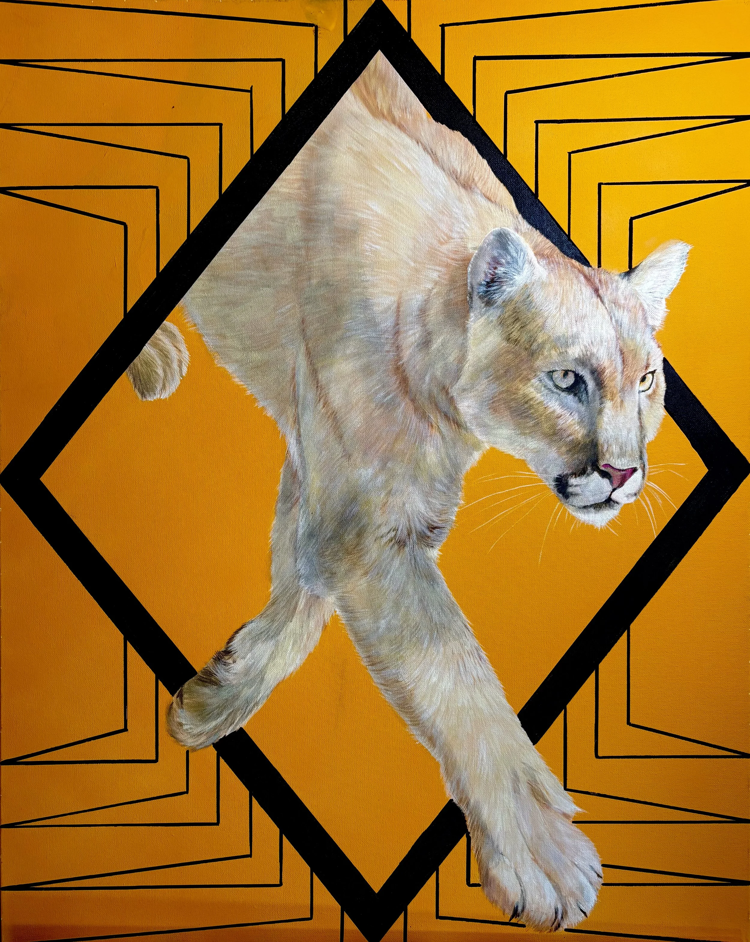 MOUNTAIN LION