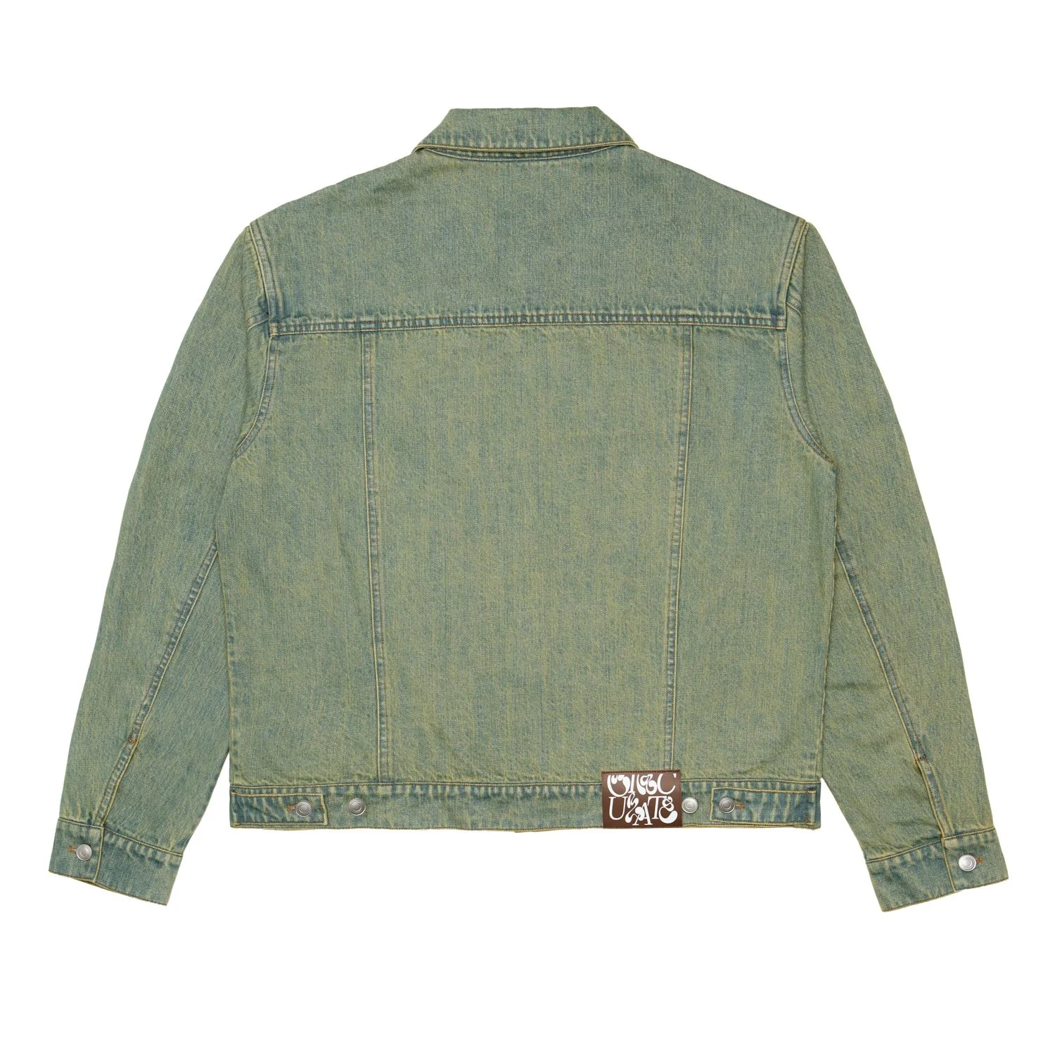 DENIM JACKET 1_BACK.jpg