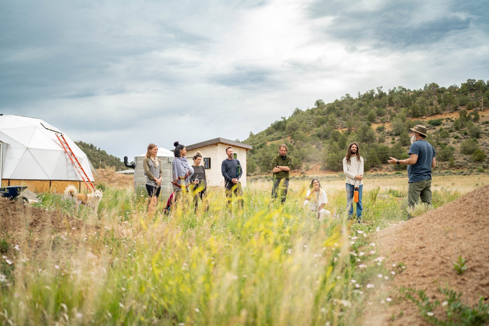 Reflections on Summer of Sustainability 2024