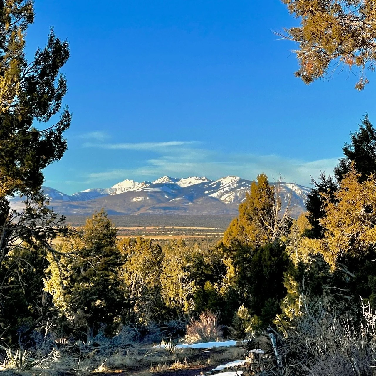 View of La Plata mountain range with snow-capped peaks