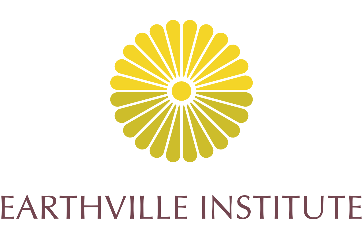 Earthville Institute