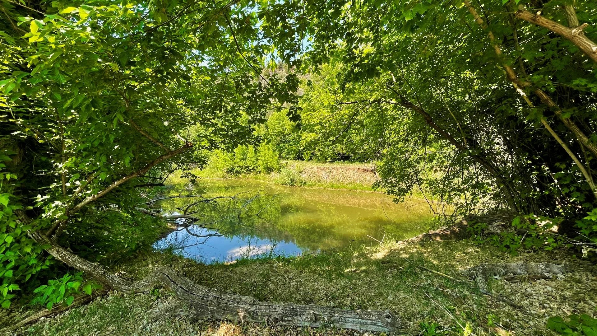 Photo of creekside picnic spot