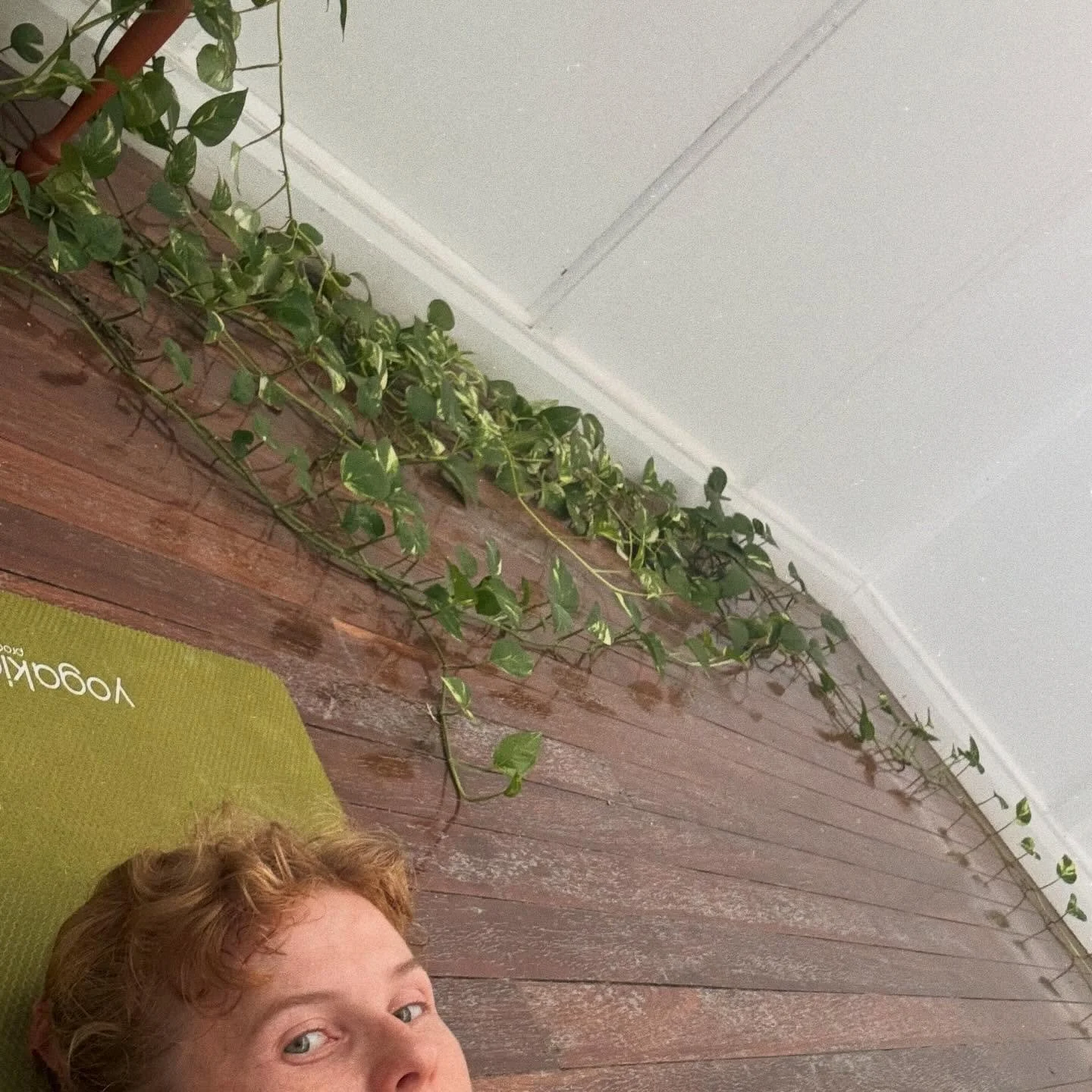 She&rsquo;s growing strong! 🌱

I like to look back on old photos in the hall and notice the extreme growth on our little studio plant. I&rsquo;ll post a before and after at some point 🧡