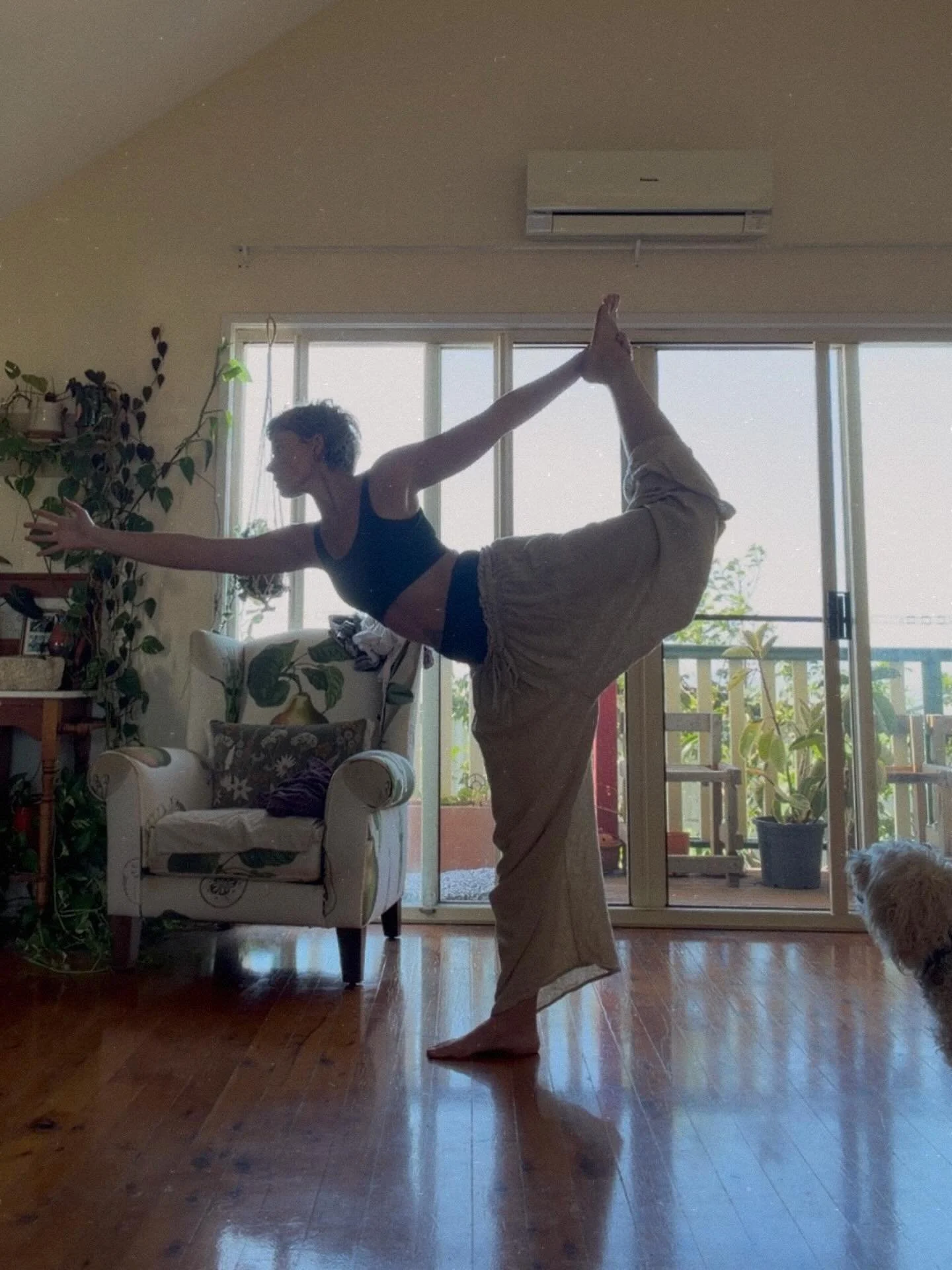 I keep mostly to myself in life. And that&rsquo;s not a reflection on anyone else, it&rsquo;s just that I have a cute dog and a cool kid and I live near the ocean and all my hobbies are introverted&hellip;

Spot Appa watching me with equal parts conc