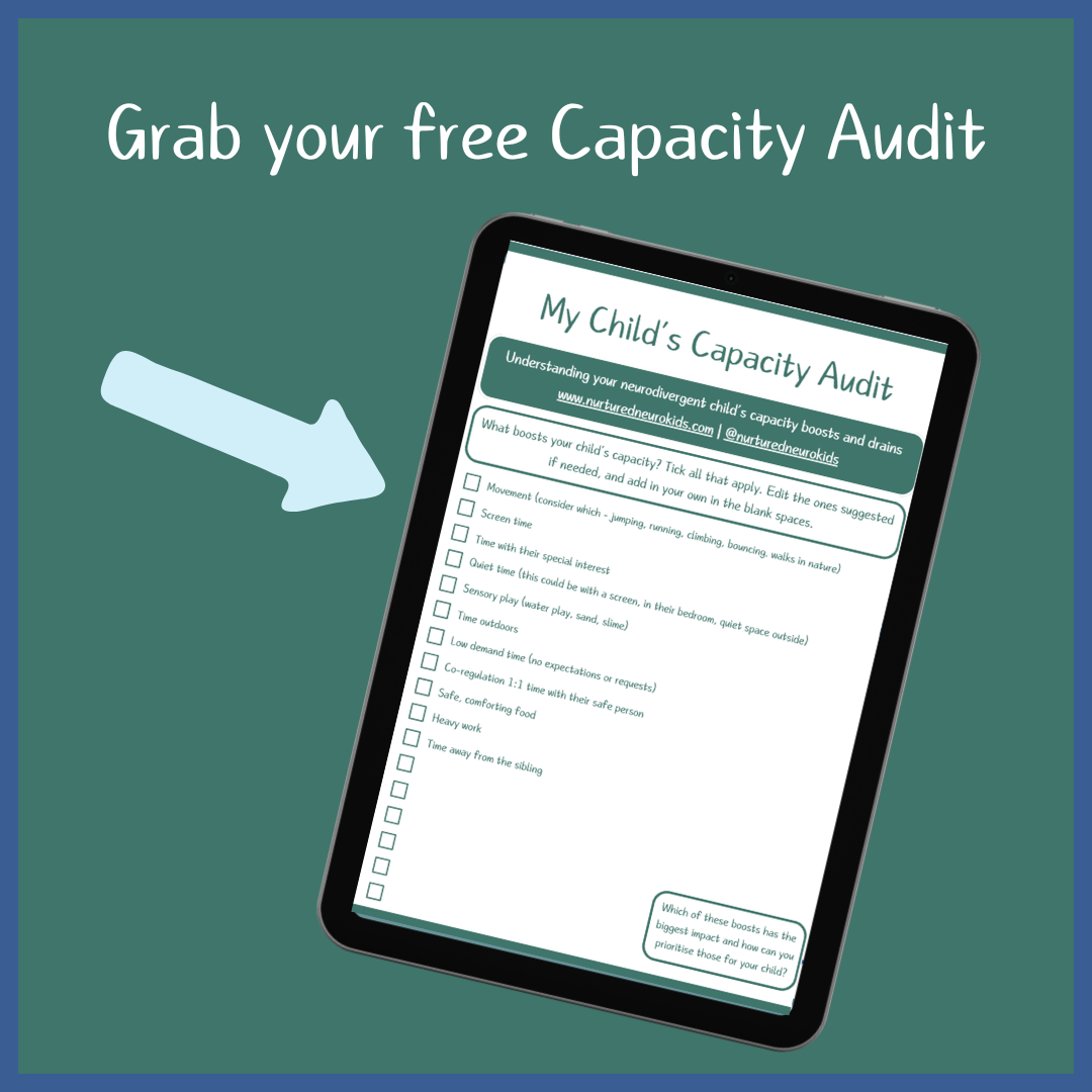 Capacity Audit