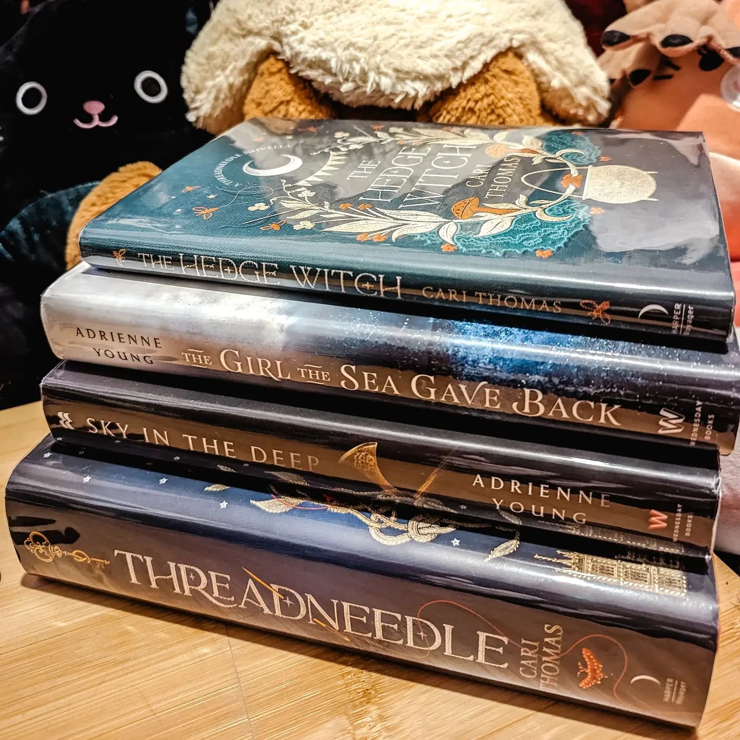 Some second-hand purchases recently 📚❤️

I've always wanted to read the Threadneedle books (as both a witch and a cross-stitcher, it feels like I ought to 😅)

Then since reading 'A Fate Inked in Blood' I've been scouring my TBR for more Norse inspi