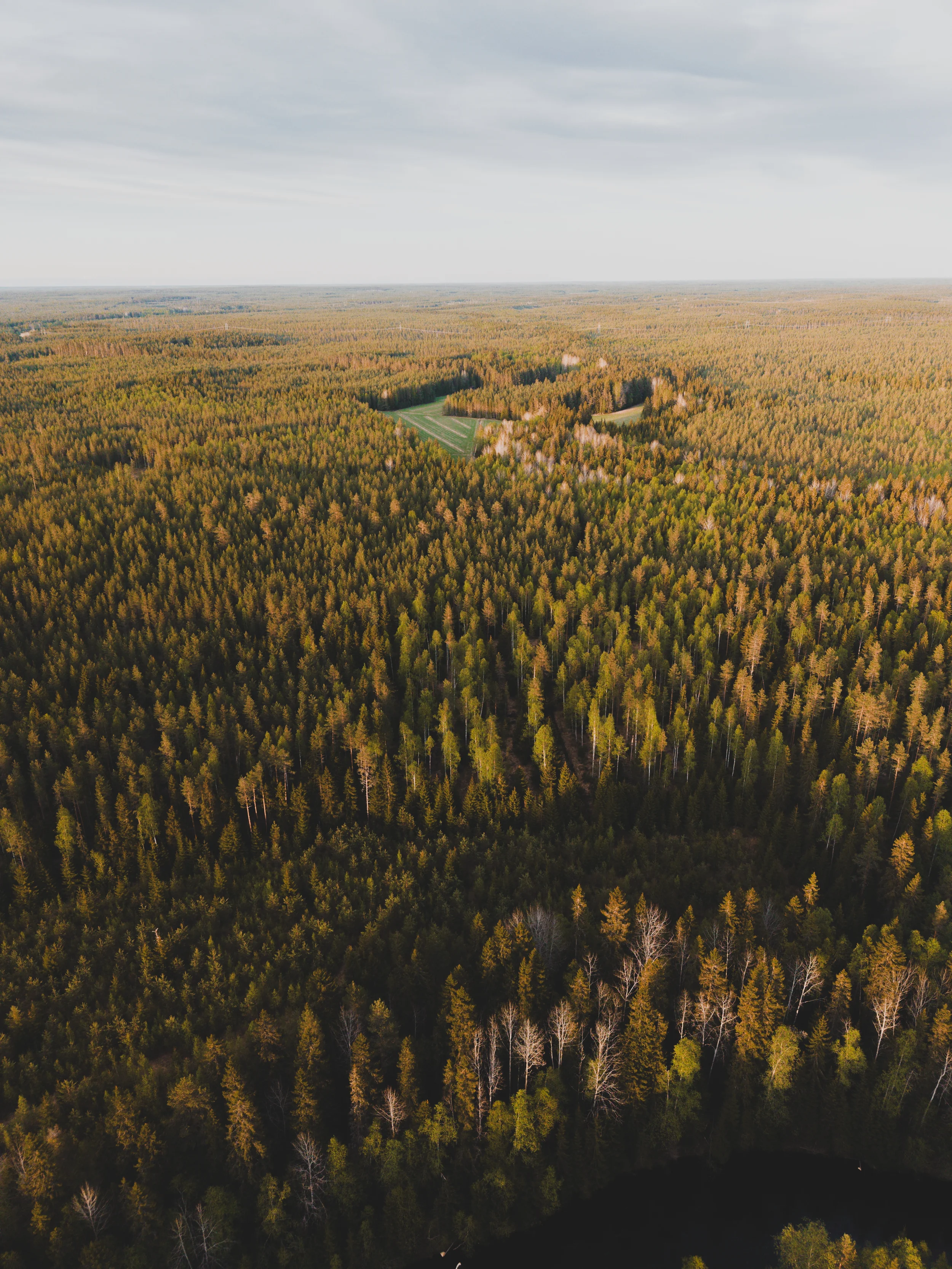 DJI_20260523213432_0016_D.webp