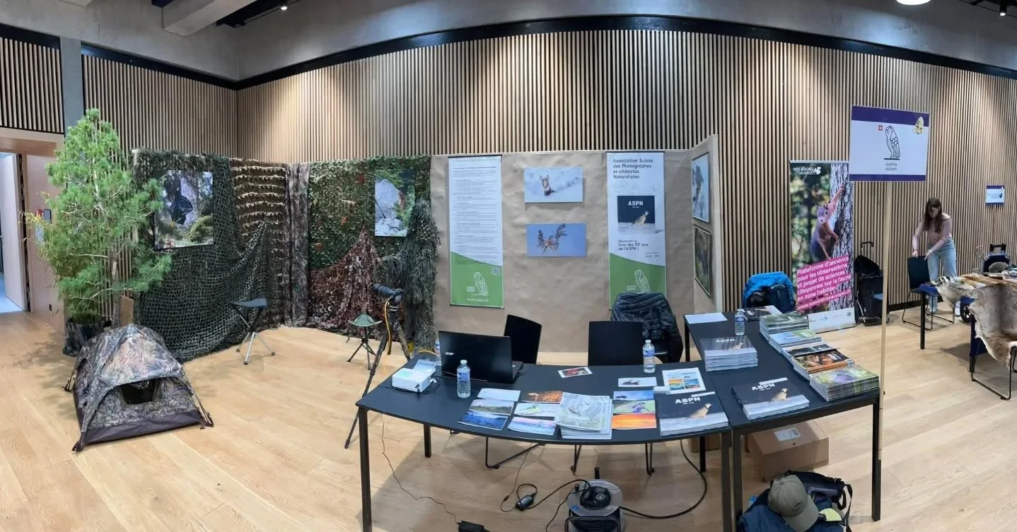 Notre stand au festival de la Salamandre &agrave; Morges.
Venez nous rendre visite demain et de week-end.