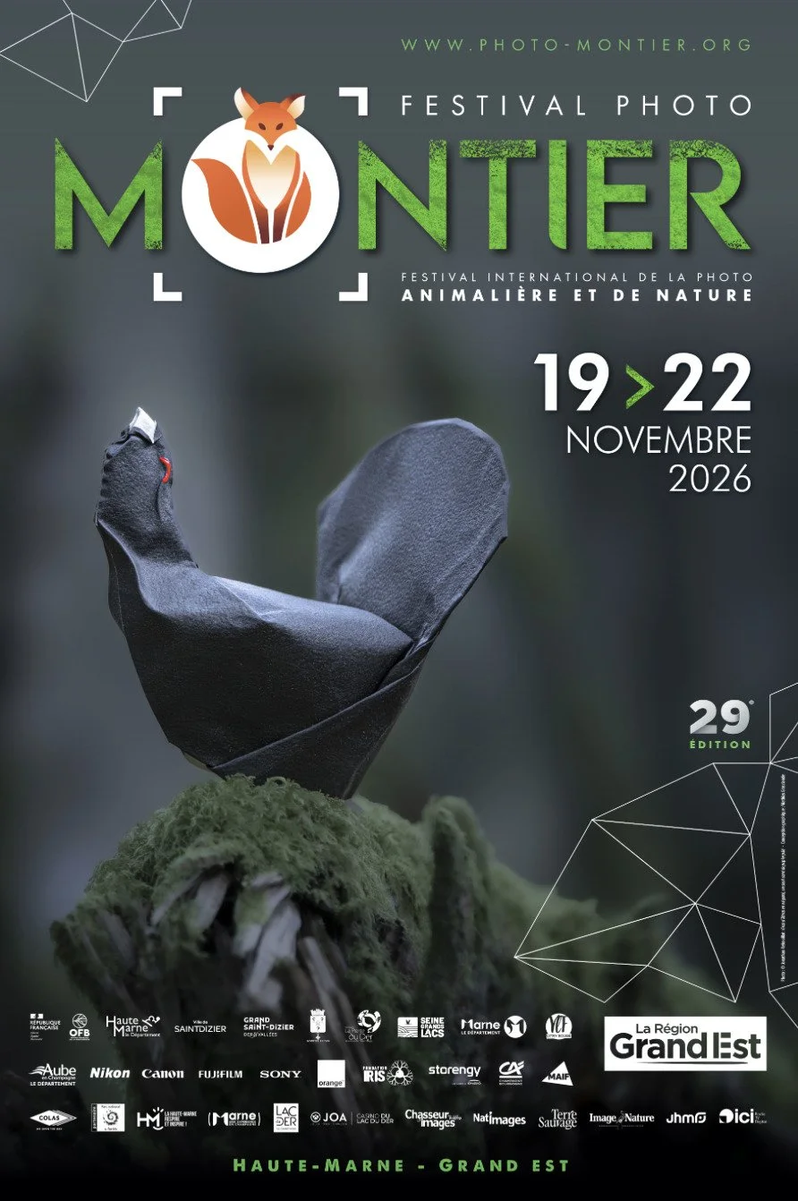 29ème Festival Photo Montier – 2026 (France)