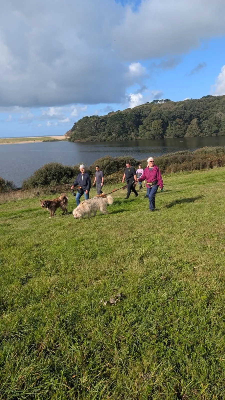 Group of people walking their dogs on a grassy hill near a body of water with trees and hills in the background under a partly cloudy sky.