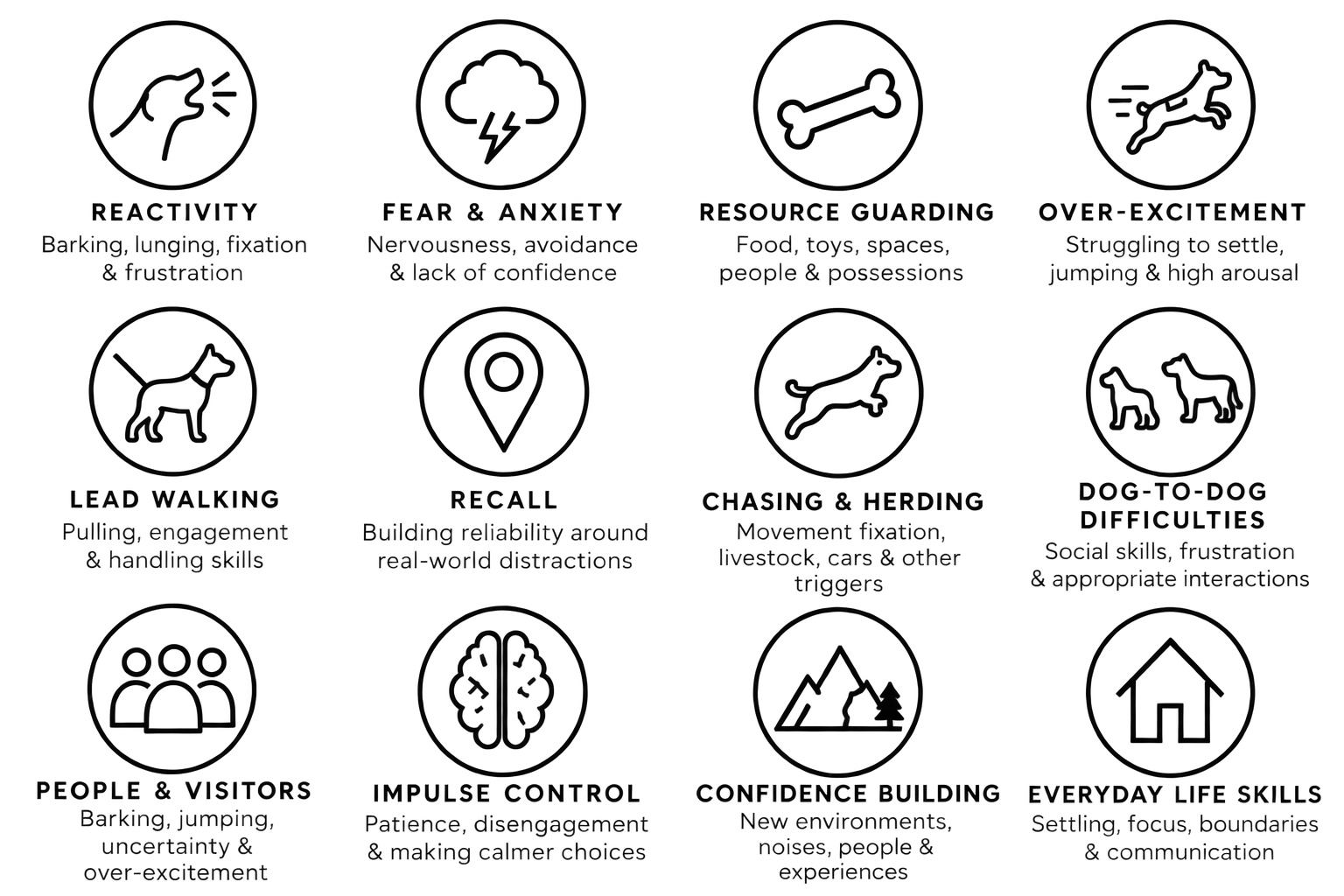This is a diagram of a complex network or system with interconnected nodes and pathways, some highlighted in blue.