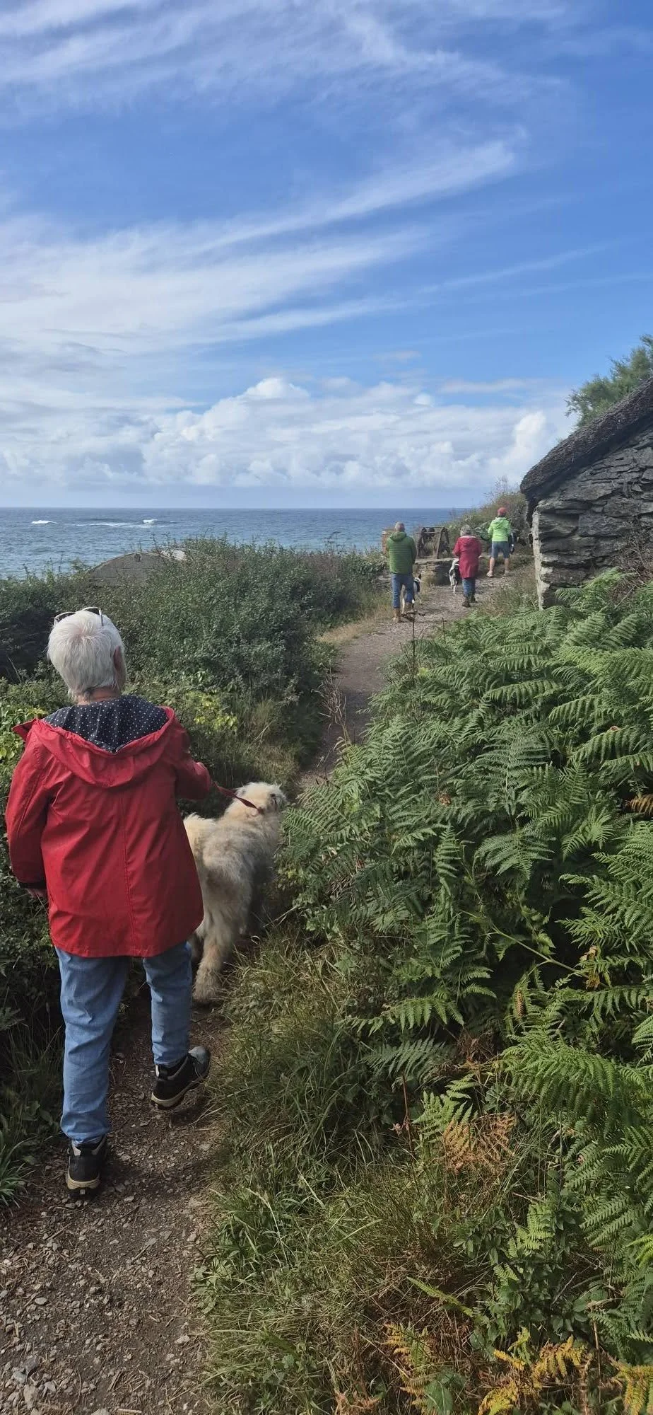 People walking along a coastal trail with lush green plants on the side. A woman with white hair, wearing a red jacket, is walking her dog. The ocean and sky with clouds are visible in the background.
