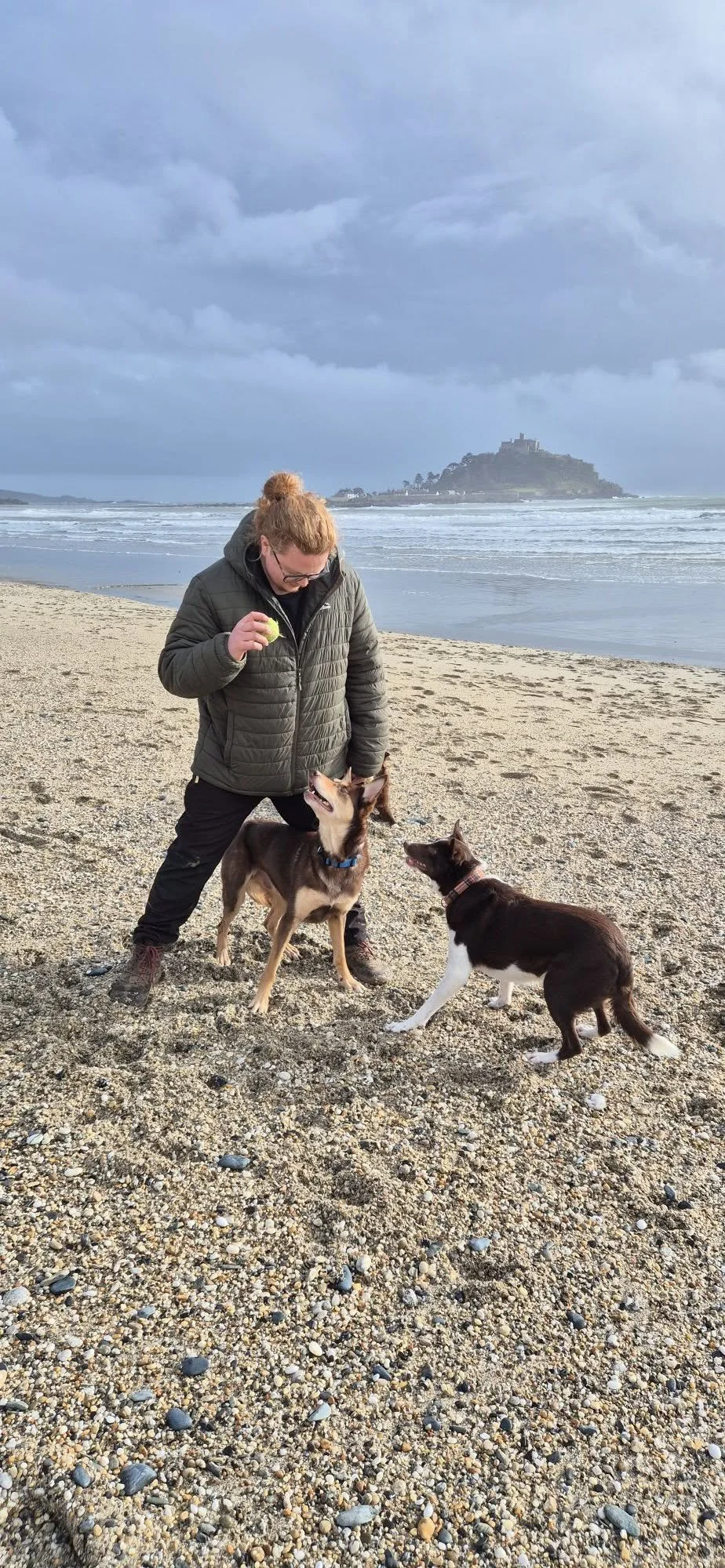 Person in a green jacket and glasses playing with two dogs on a sandy beach with an island and castle in the background under a cloudy sky.