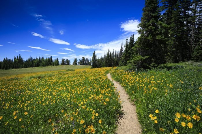 Nature’s Healing Power: Harnessing the Benefits of Outdoor Coaching