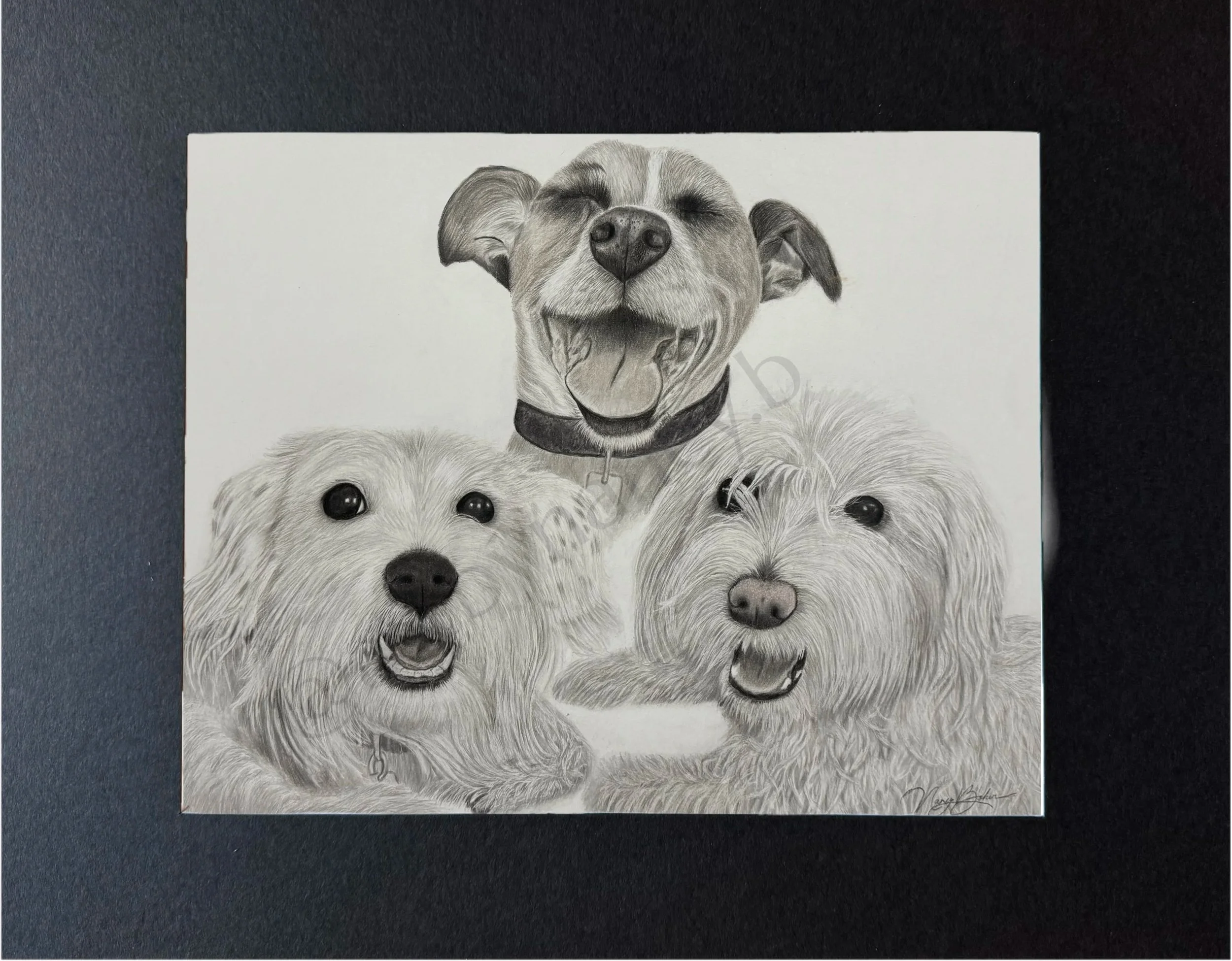 Tails of Love: Dog & Cat Lovers