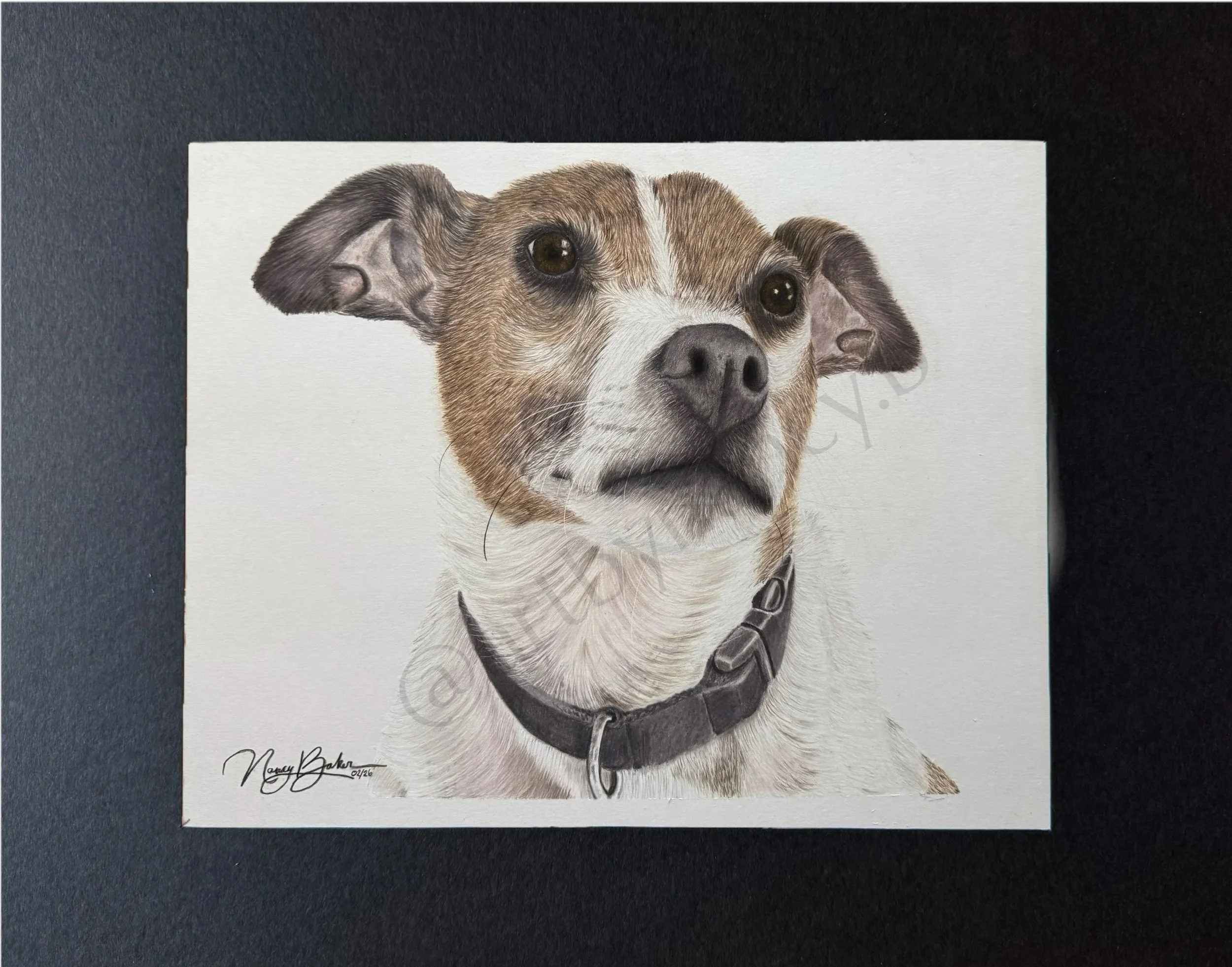 Jack’s memorial portrait 