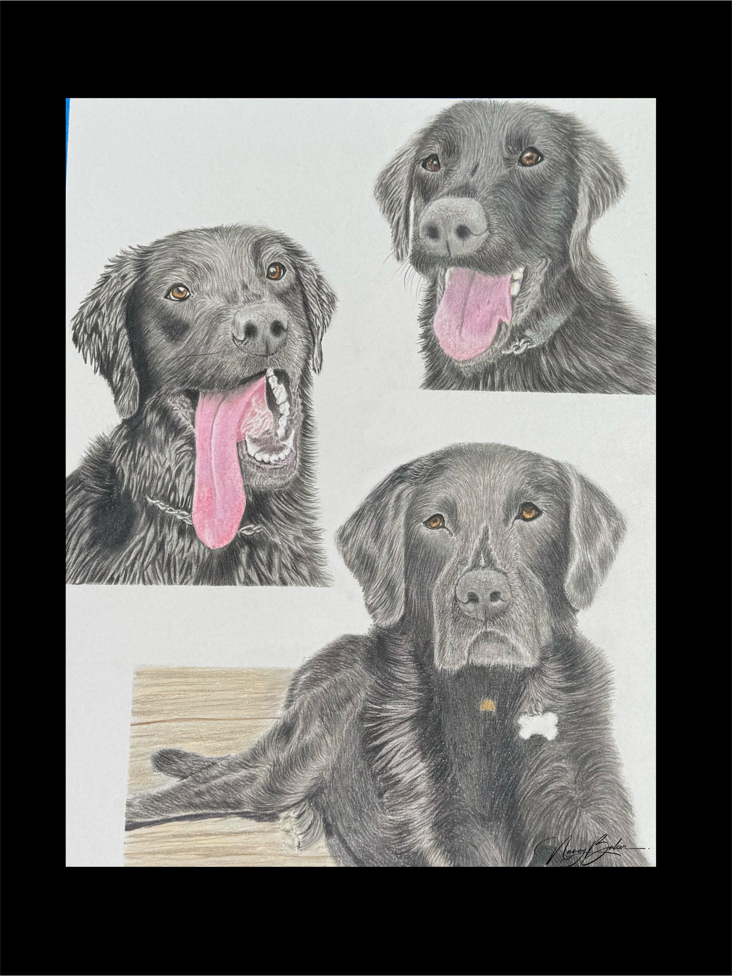 🐾 Custom Trio Portrait | Same Pet | 11