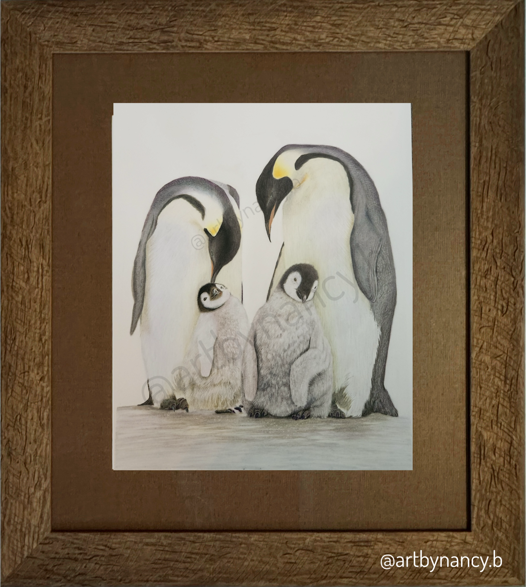 Flippers & Fins: Collection of tender, watery moments