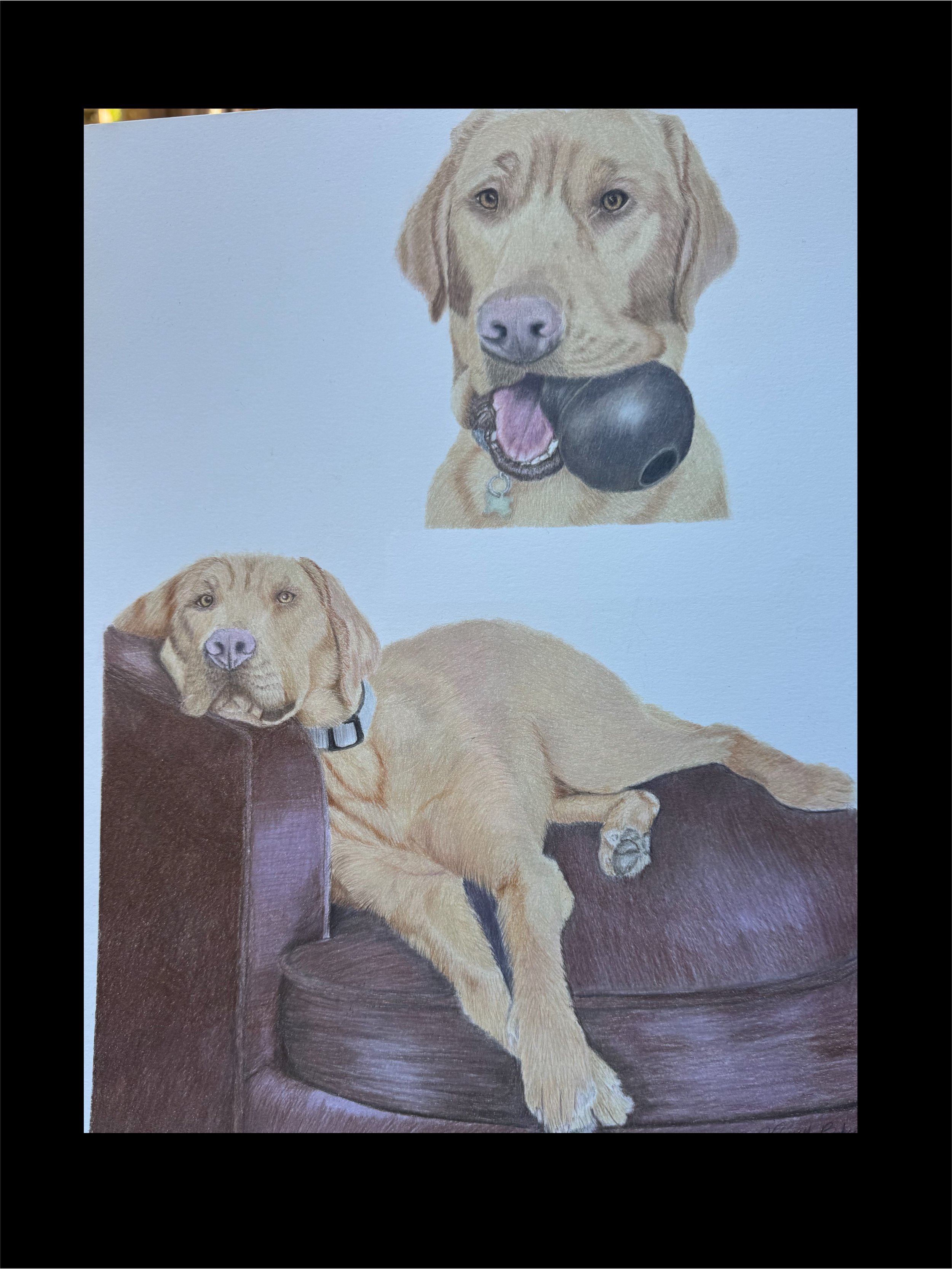 🐾 Custom Duo Portrait | Same Pet | 11