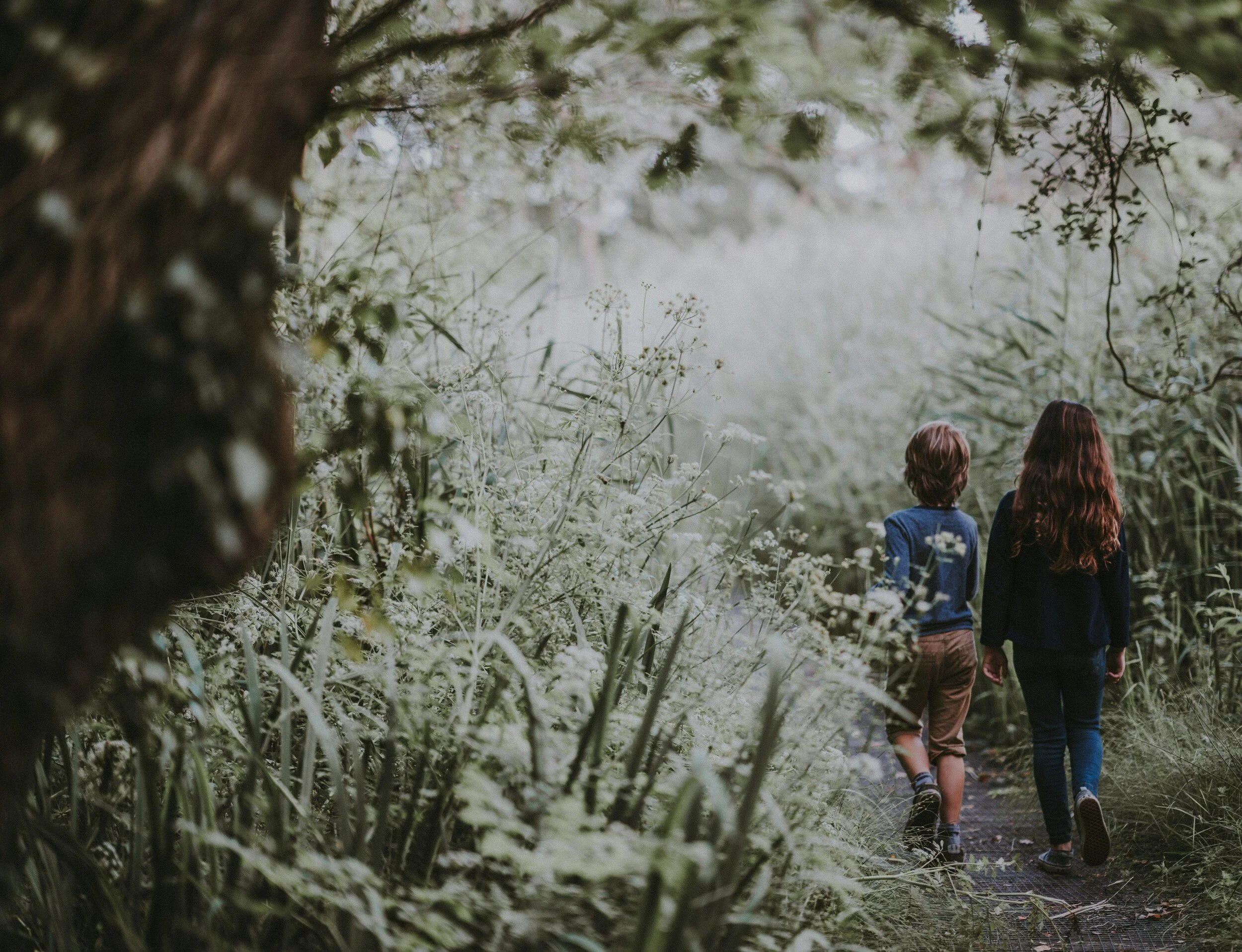 exploring on a walk in forest school