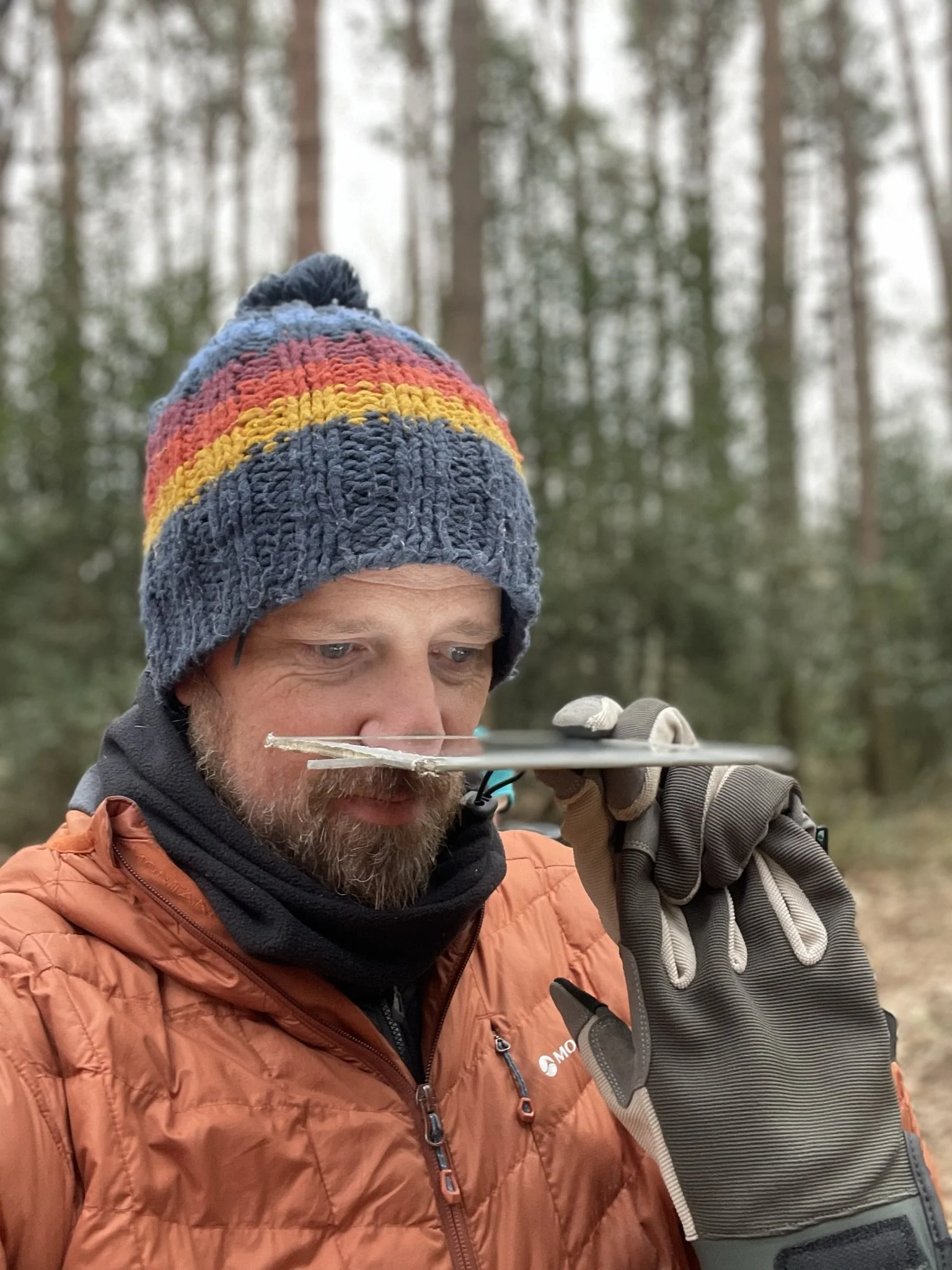 a different perspective at adventurist collective.JPEG