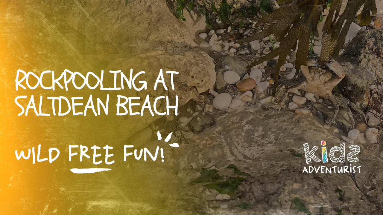 Rockpooling at Saltdean BEach
