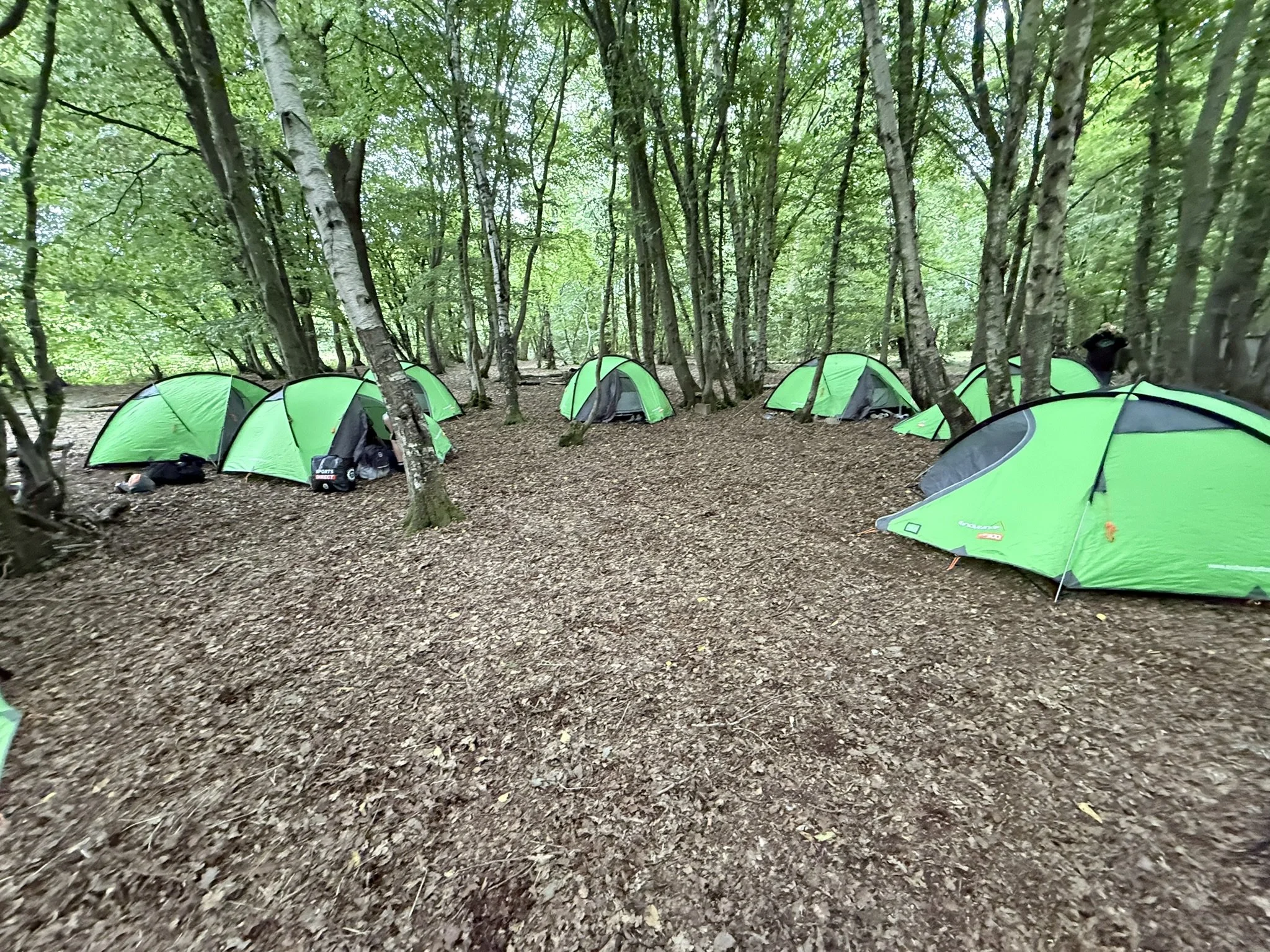 play in forest school