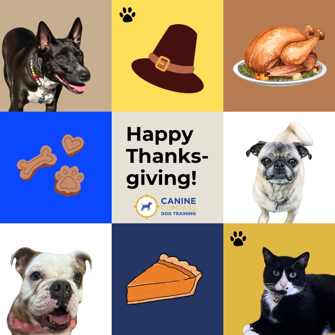 Happy Thanksgiving, friends. 🤎 Today we are grateful for the tiny moments that make life feel full &mdash; wagging tails, belly laughs, surprise kindness, and the people (and pets) who make home feel like home. Wishing you a day filled with comfort,
