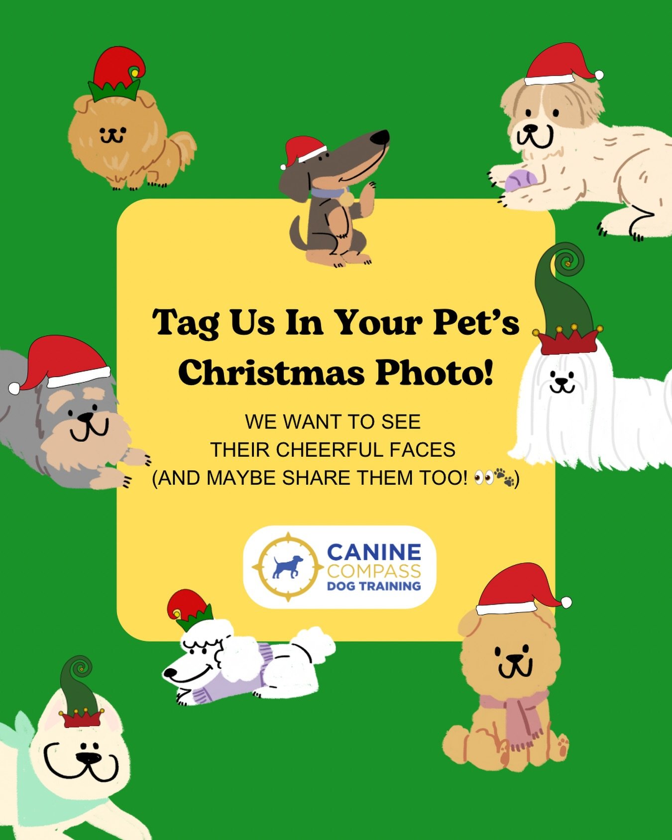 Tag us or DM us your Christmas photos! We want to see your pet&rsquo;s Christmas fit and their smiling faces ☺️

#charlottedogs #christmasincharlotte #holidaypetphotos #christmasphoto
