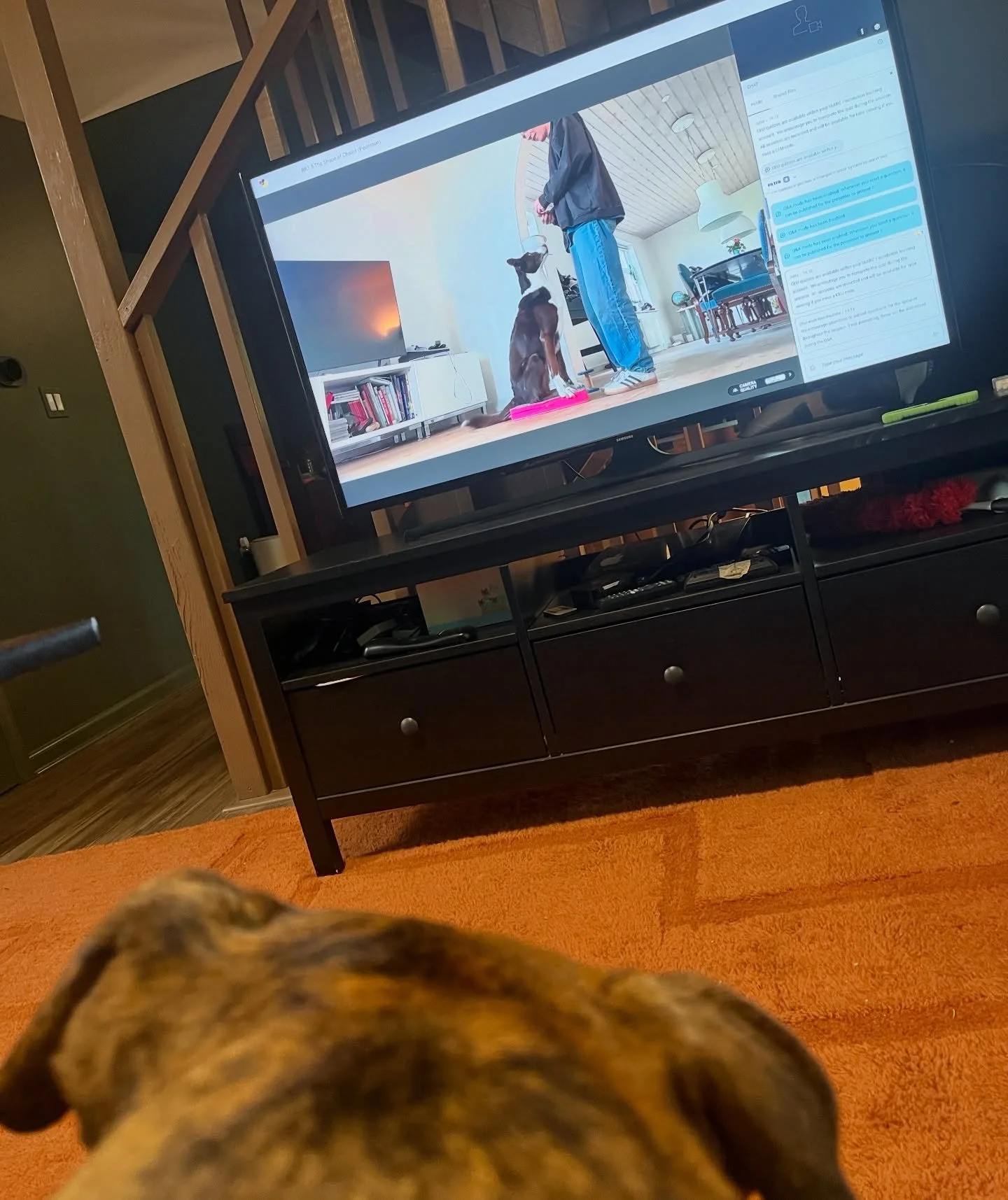 Spent these last 3 days learning alongside another trainer at a virtual conference and honestly&mdash;this is one of my favorite parts of this work!

Because no matter how many dogs I&rsquo;ve worked with, there&rsquo;s always more to understand.

Mo