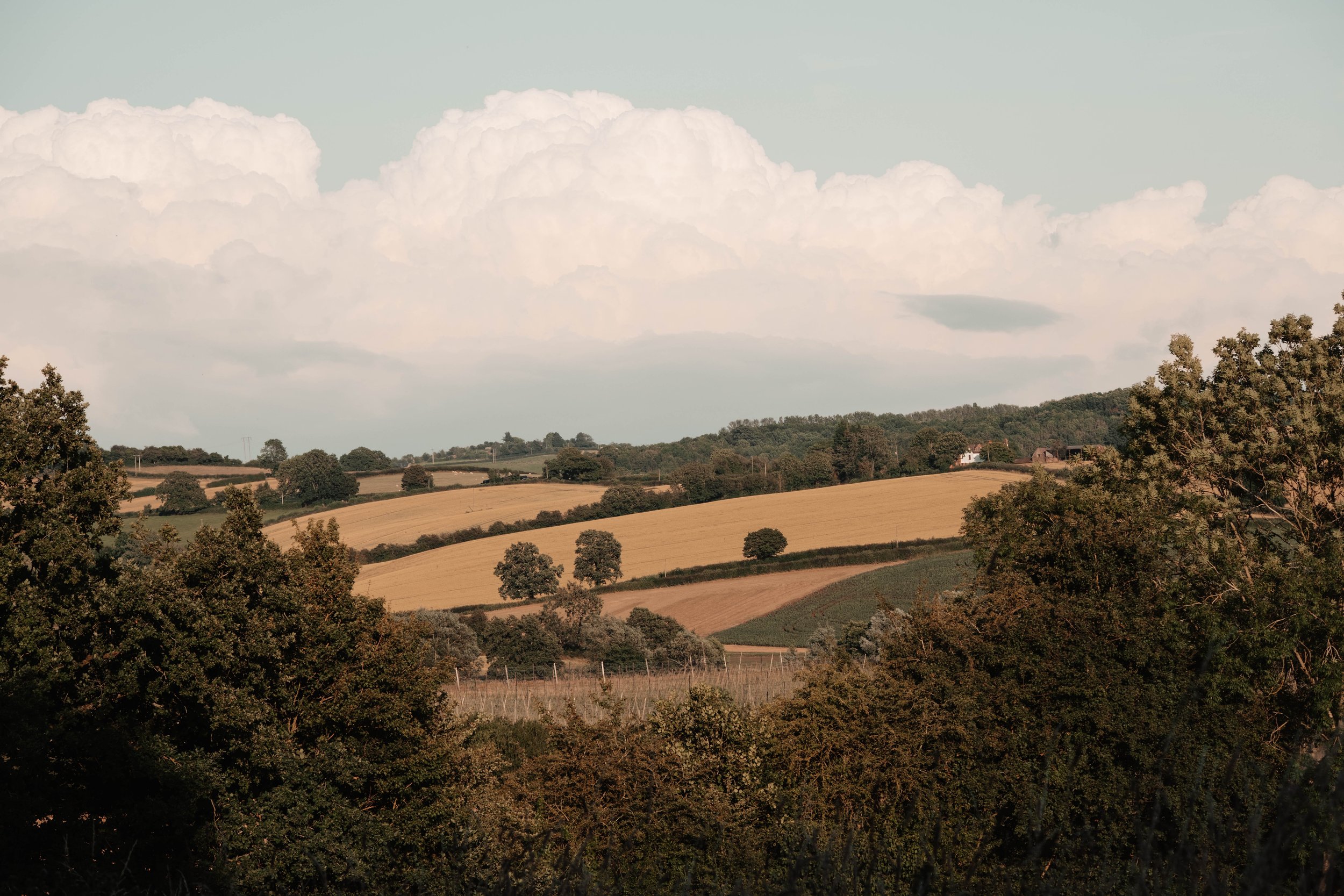 DSCF0533.jpg