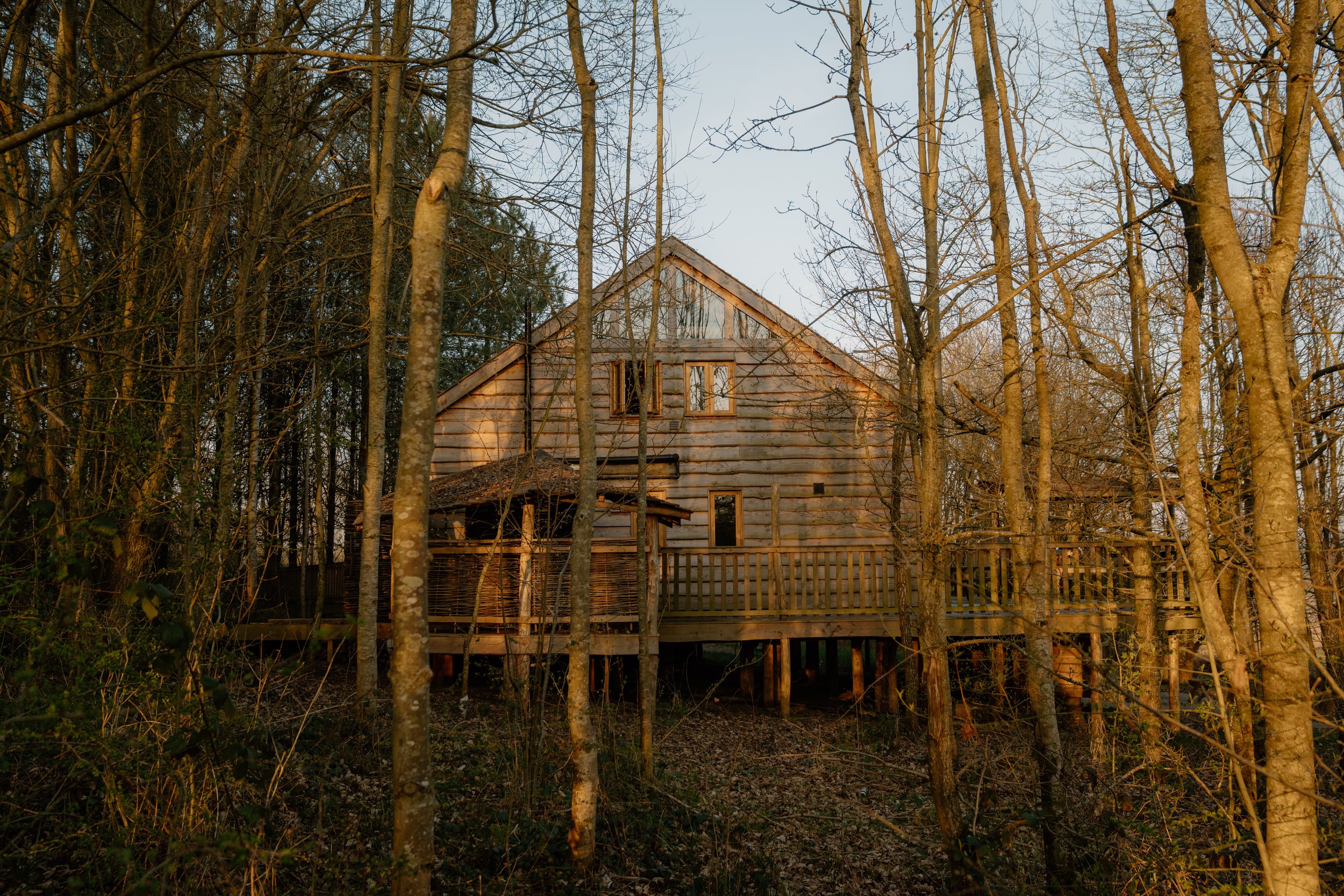 Wooden cabin surrounded by trees