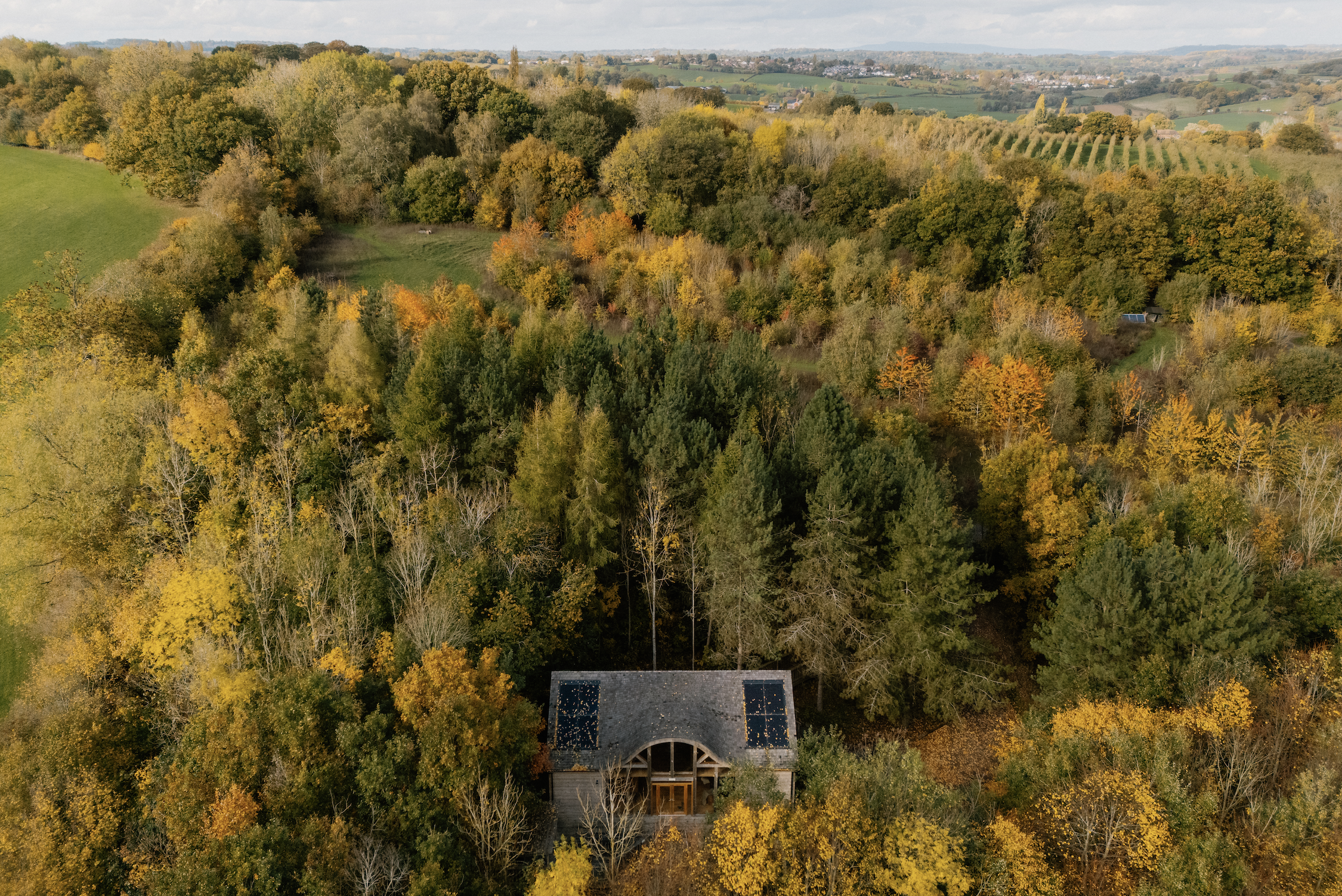 Autumn in Herefordshire: Rain on the leaves, Apples falling in the orchard