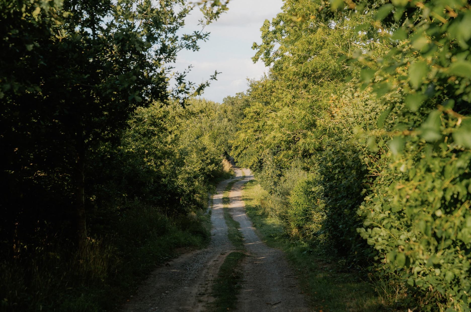 Screenshot 2026-04-15 at 16.03.04.png