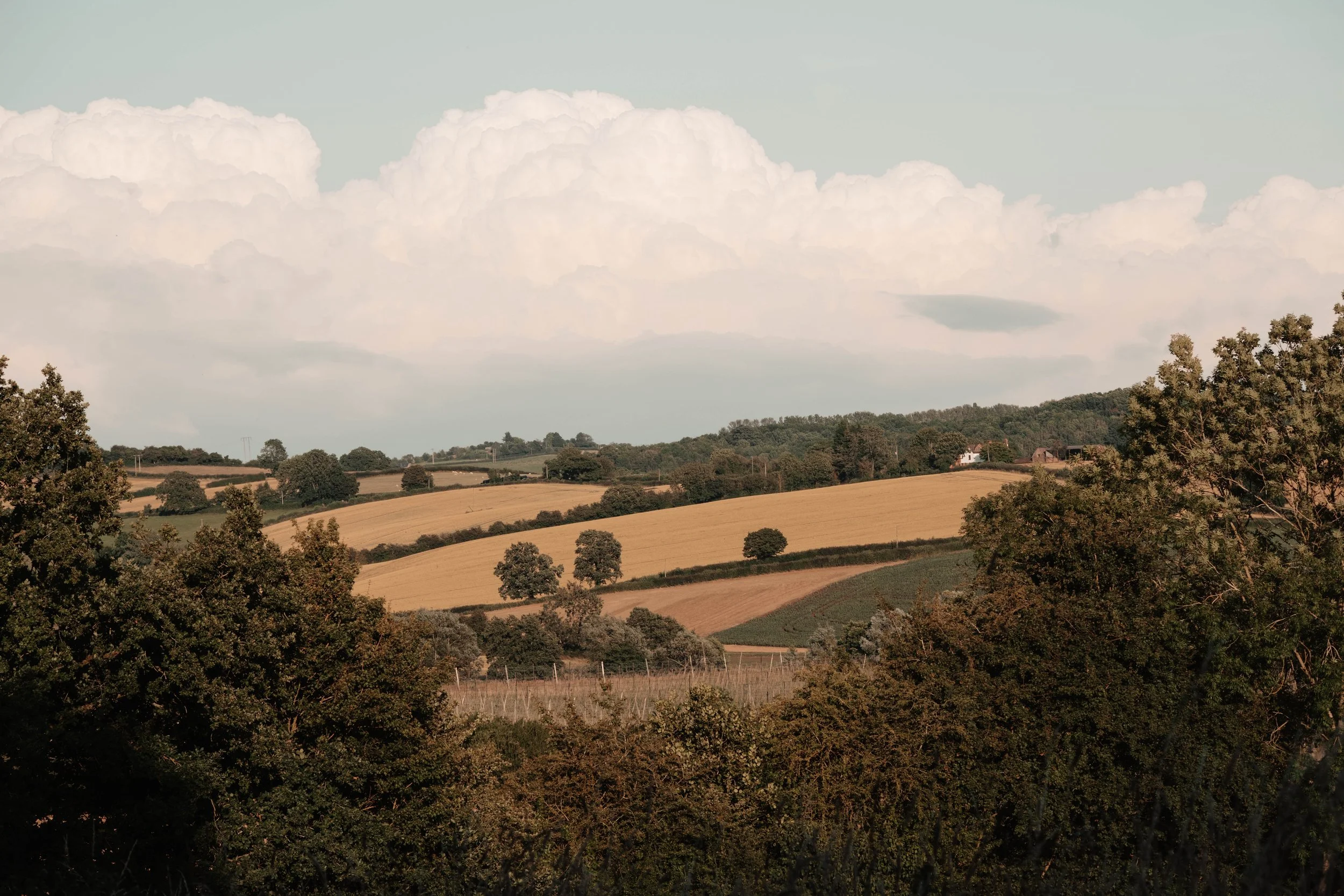 Rolling Herefordshire farmland and woodland surrounding Brook House Woods