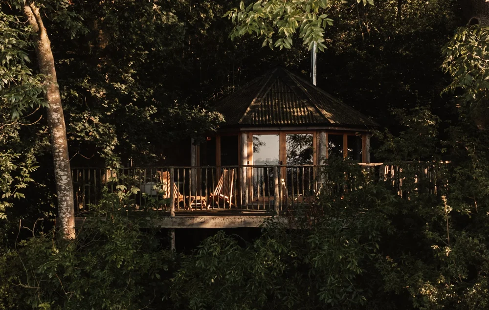 Secluded treehouse with private deck surrounded by dense woodland at Brook House Woods
