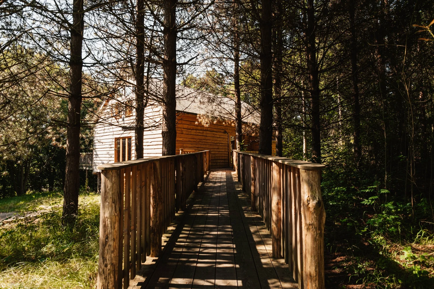 Sunlit timber walkway through the secluded woodland at Brook House Woods, Herefordshire